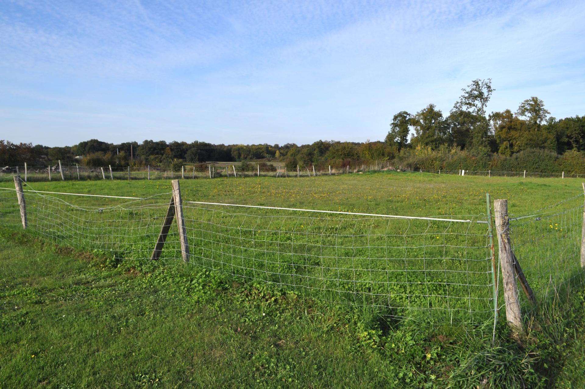 Miniature photo - 3 / 6