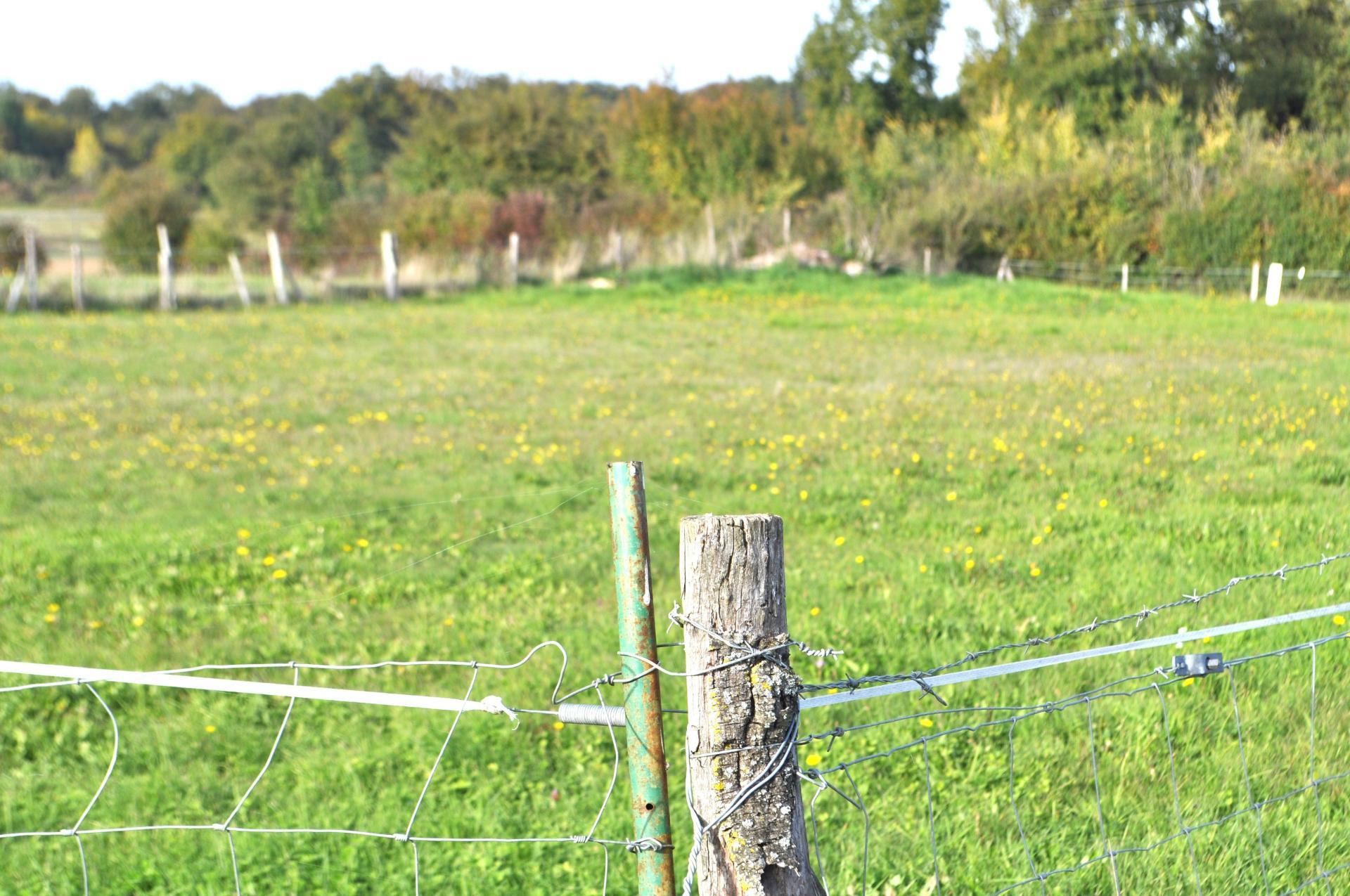 Miniature photo - 2 / 6