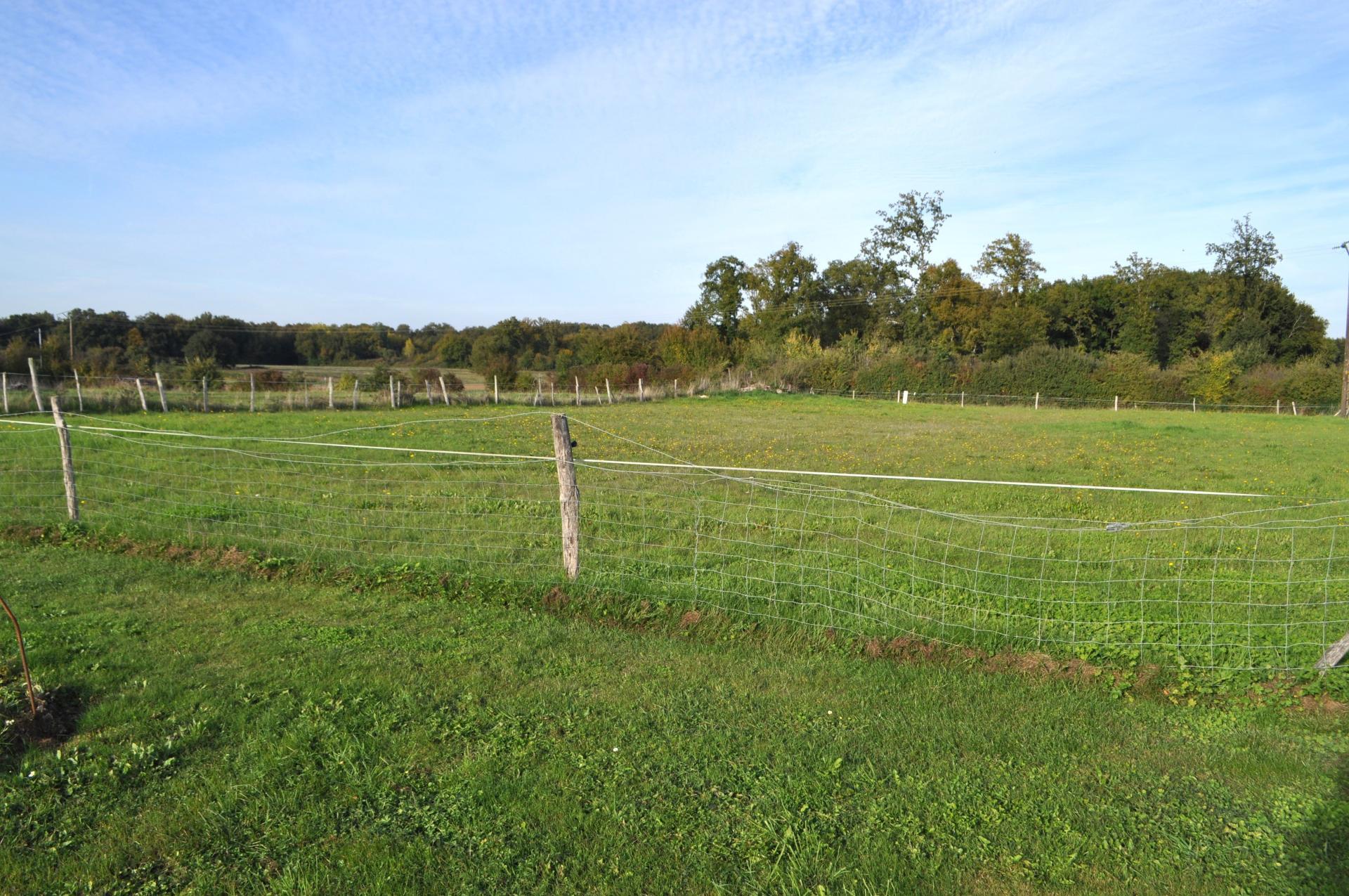 Miniature photo - 4 / 6