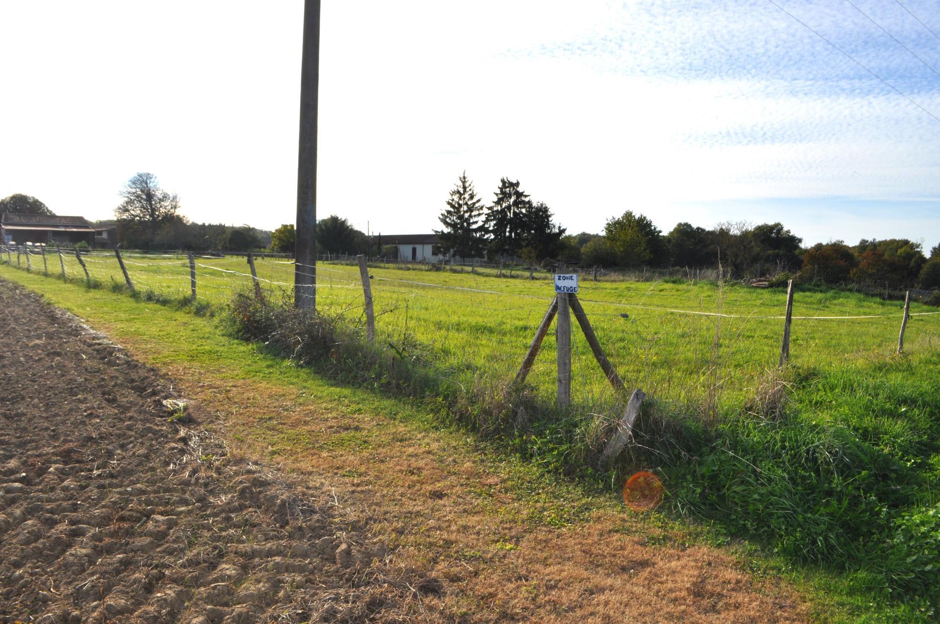 Miniature photo - 6 / 6