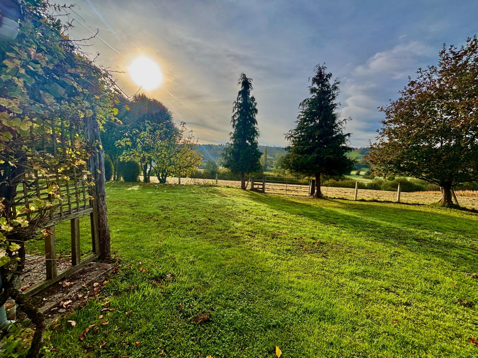 Miniature photo - 4 / 18