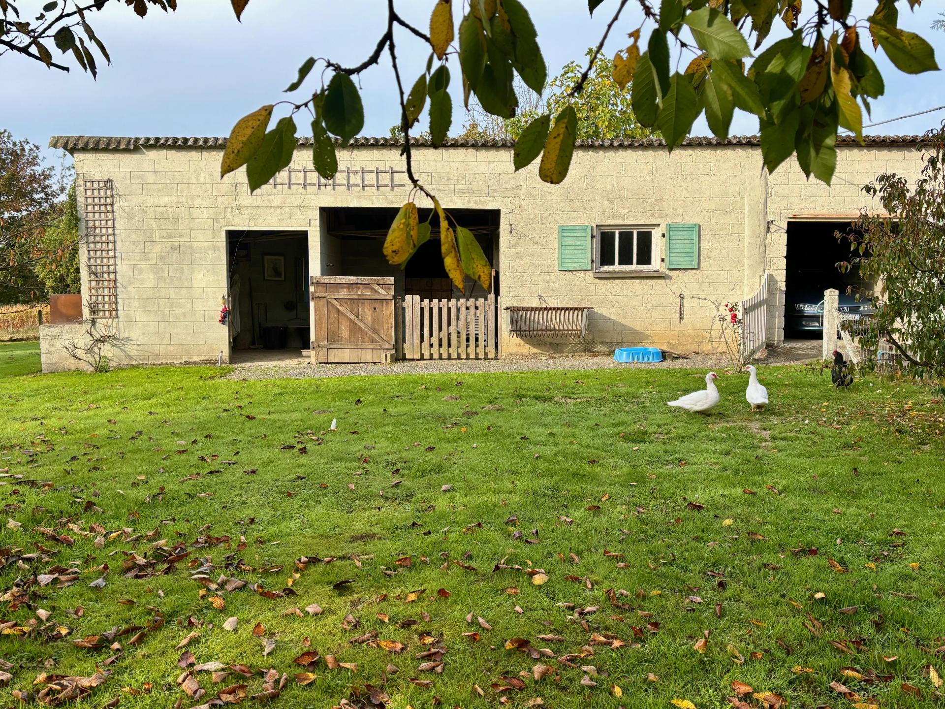 Miniature photo - 2 / 18