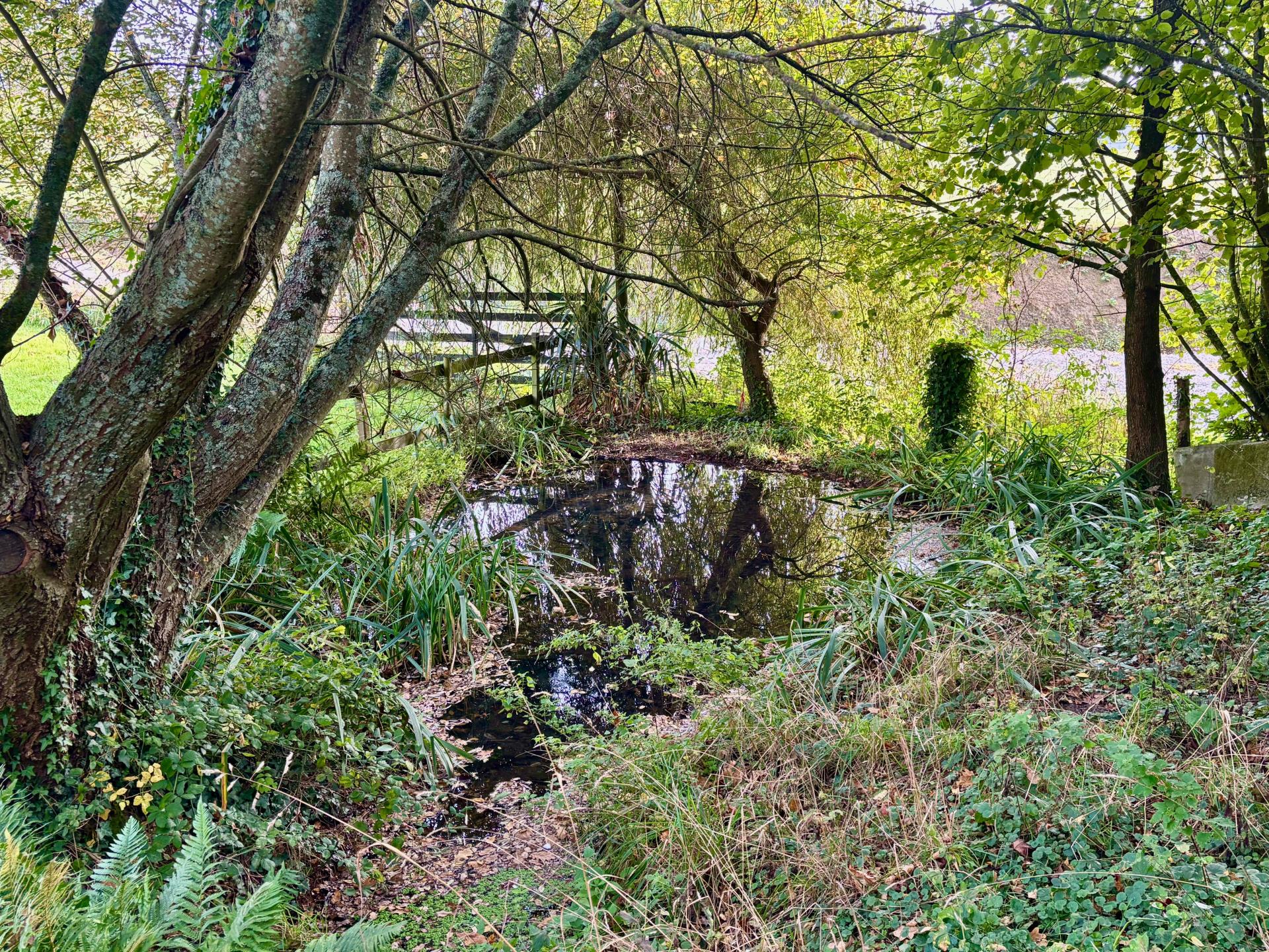 Miniature photo - 3 / 18