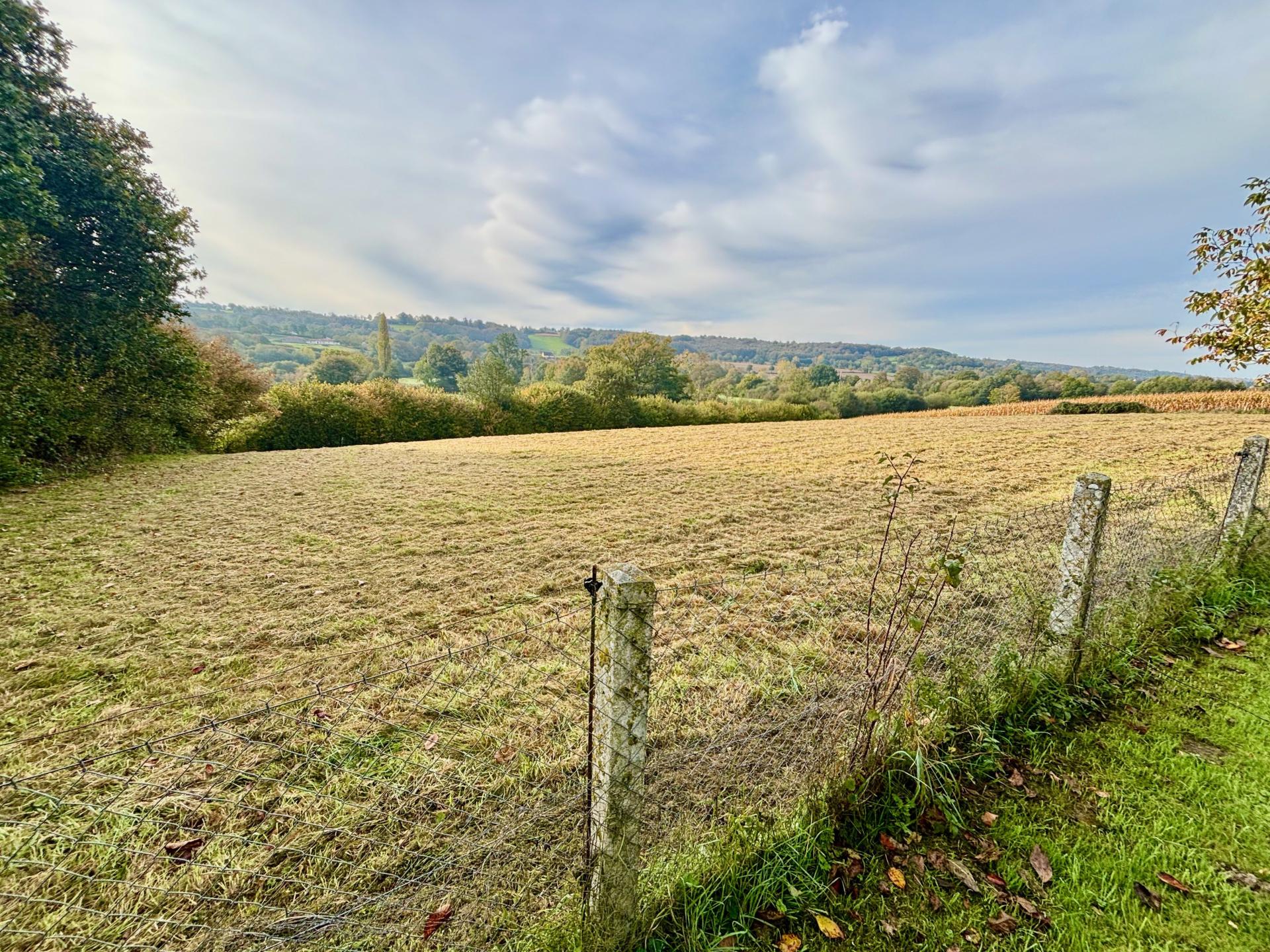 Miniature photo - 18 / 18