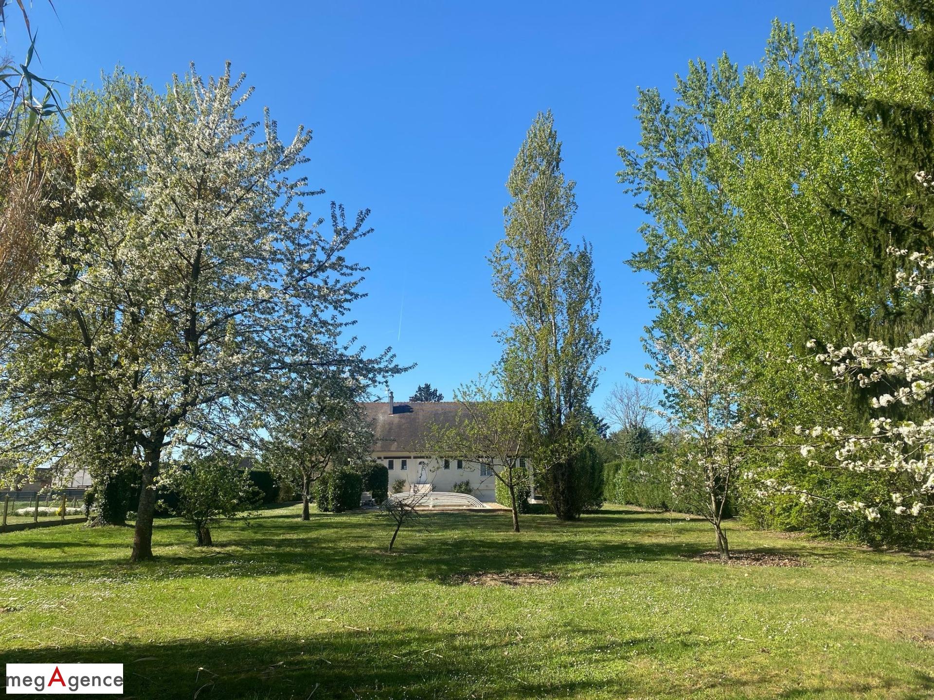 Miniature photo - 13 / 13