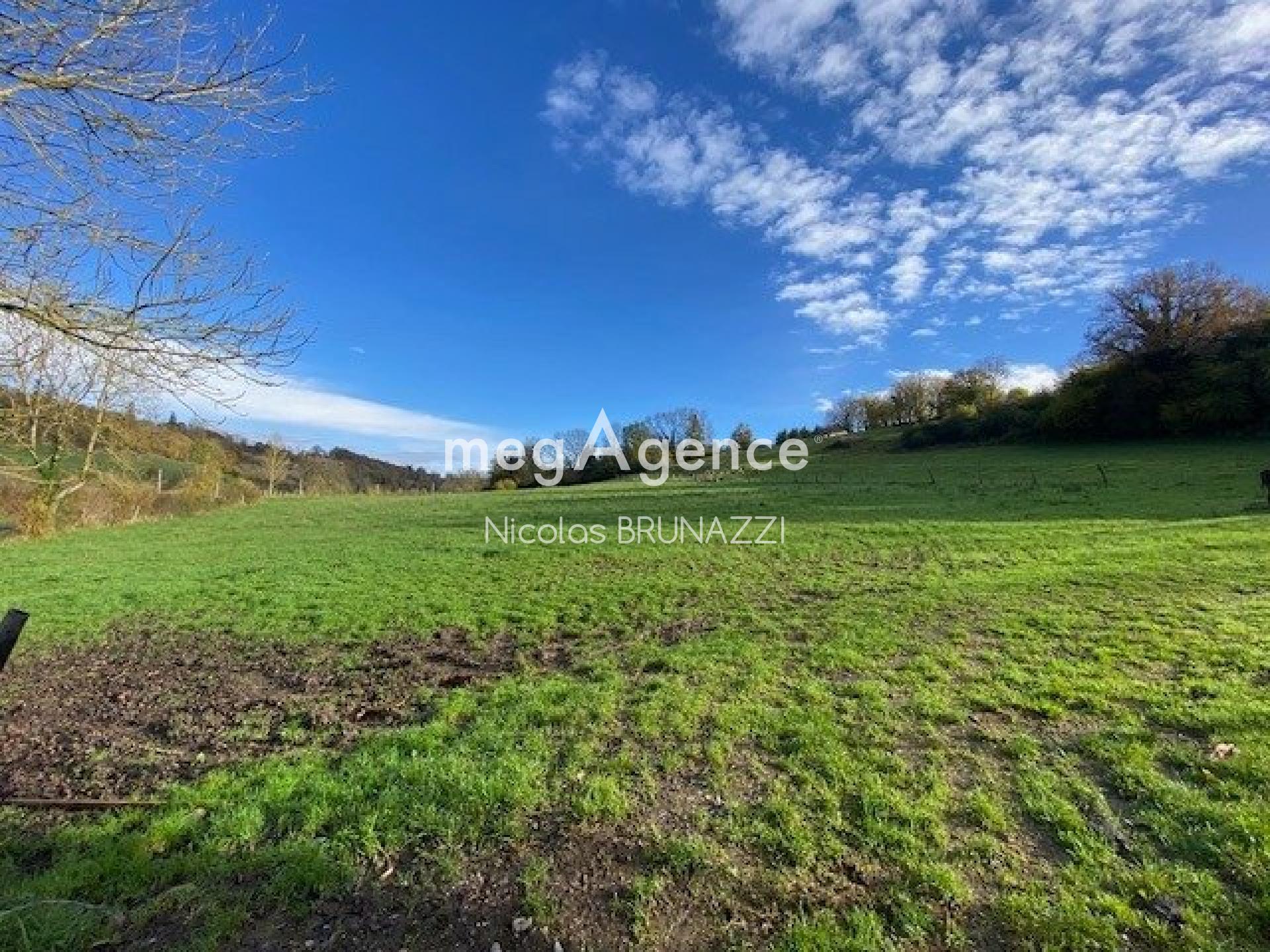 Miniature photo - 13 / 13