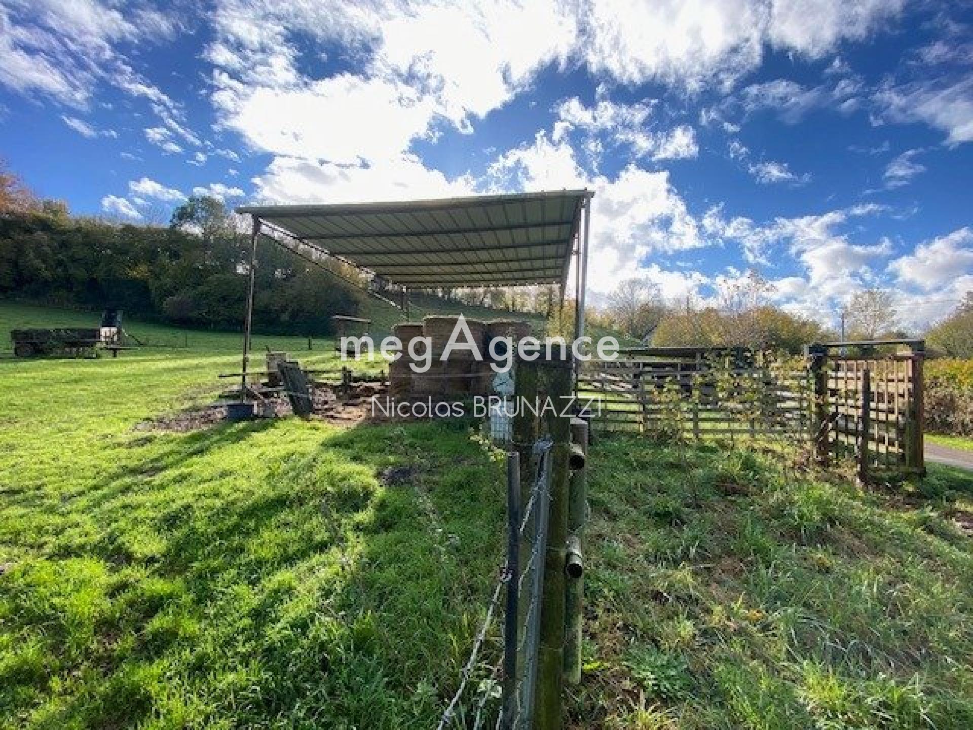 Miniature photo - 12 / 13