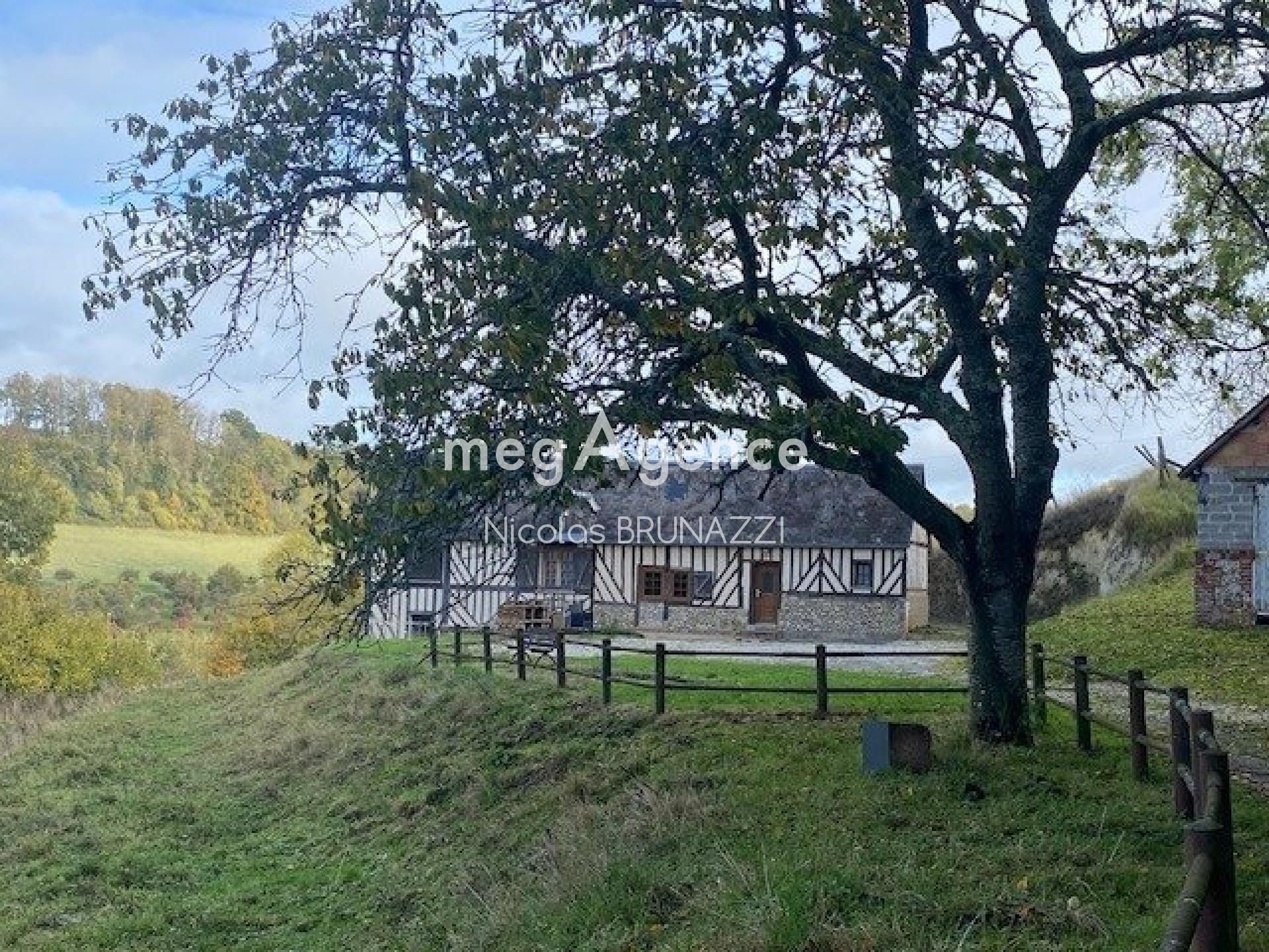 Miniature photo - 2 / 13