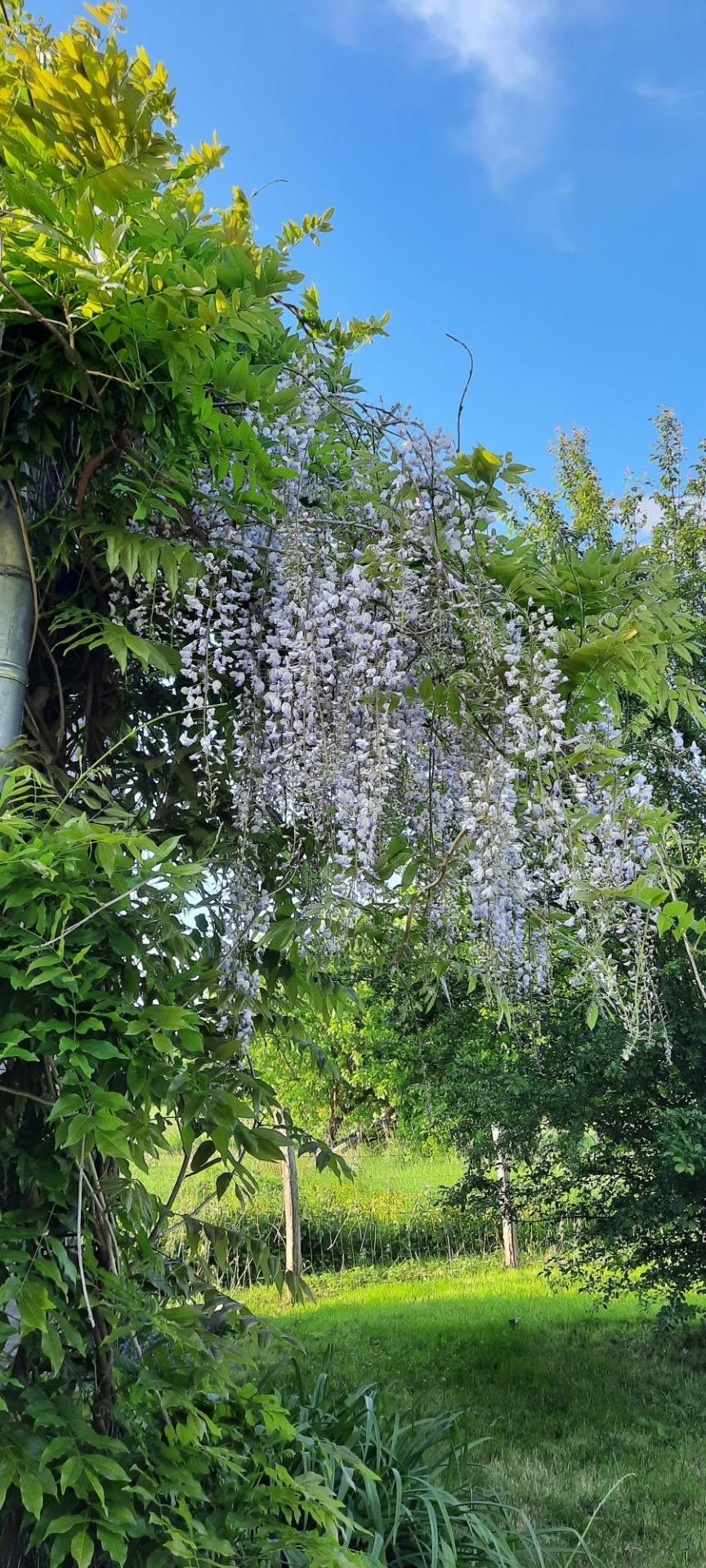 Miniature photo - 3 / 12