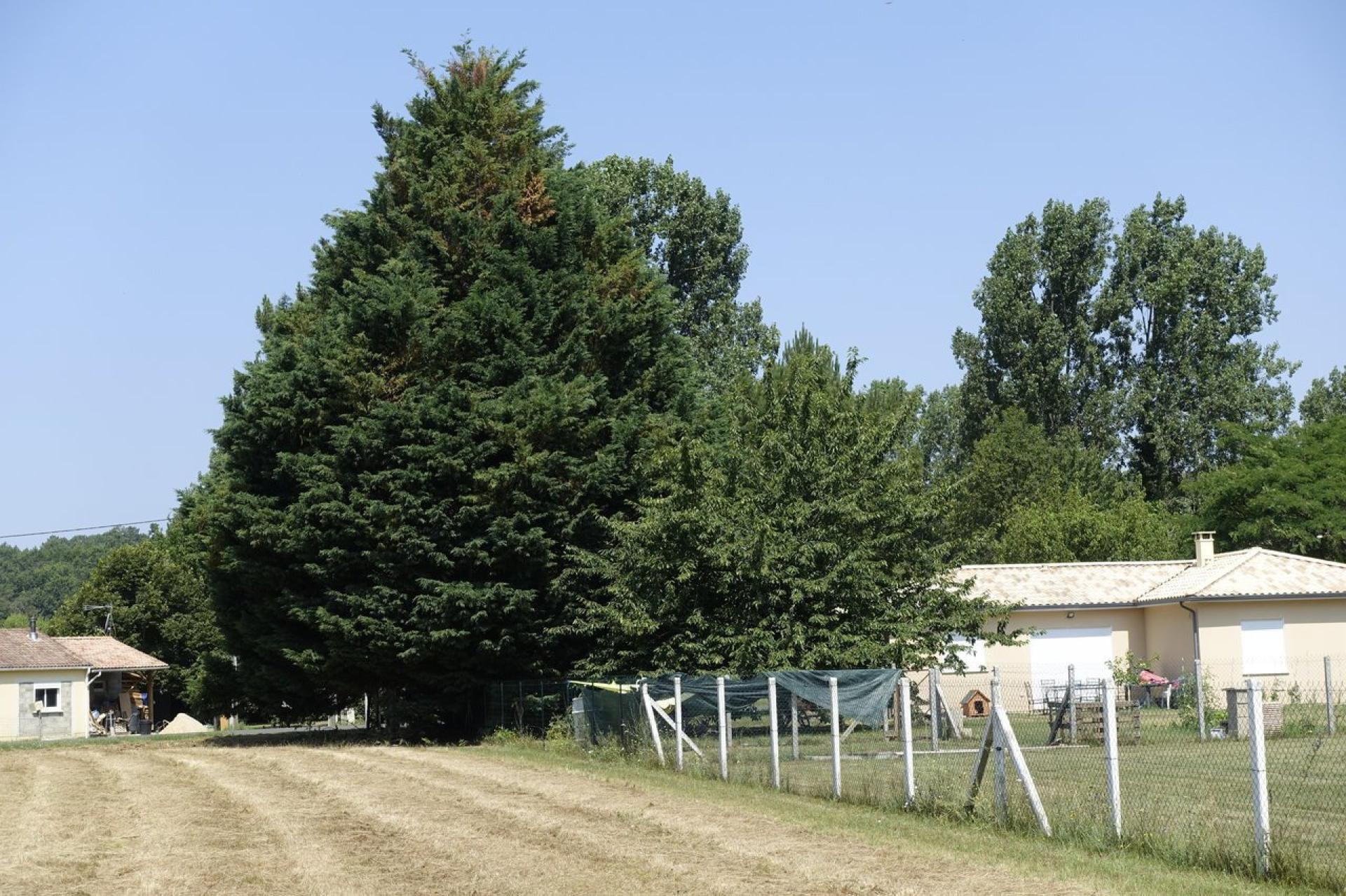 Miniature photo - 3 / 4