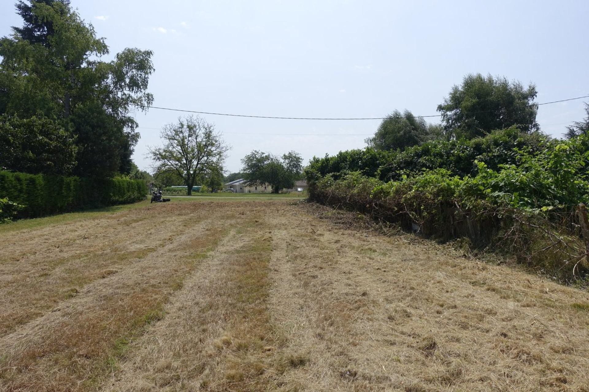 Miniature photo - 4 / 4