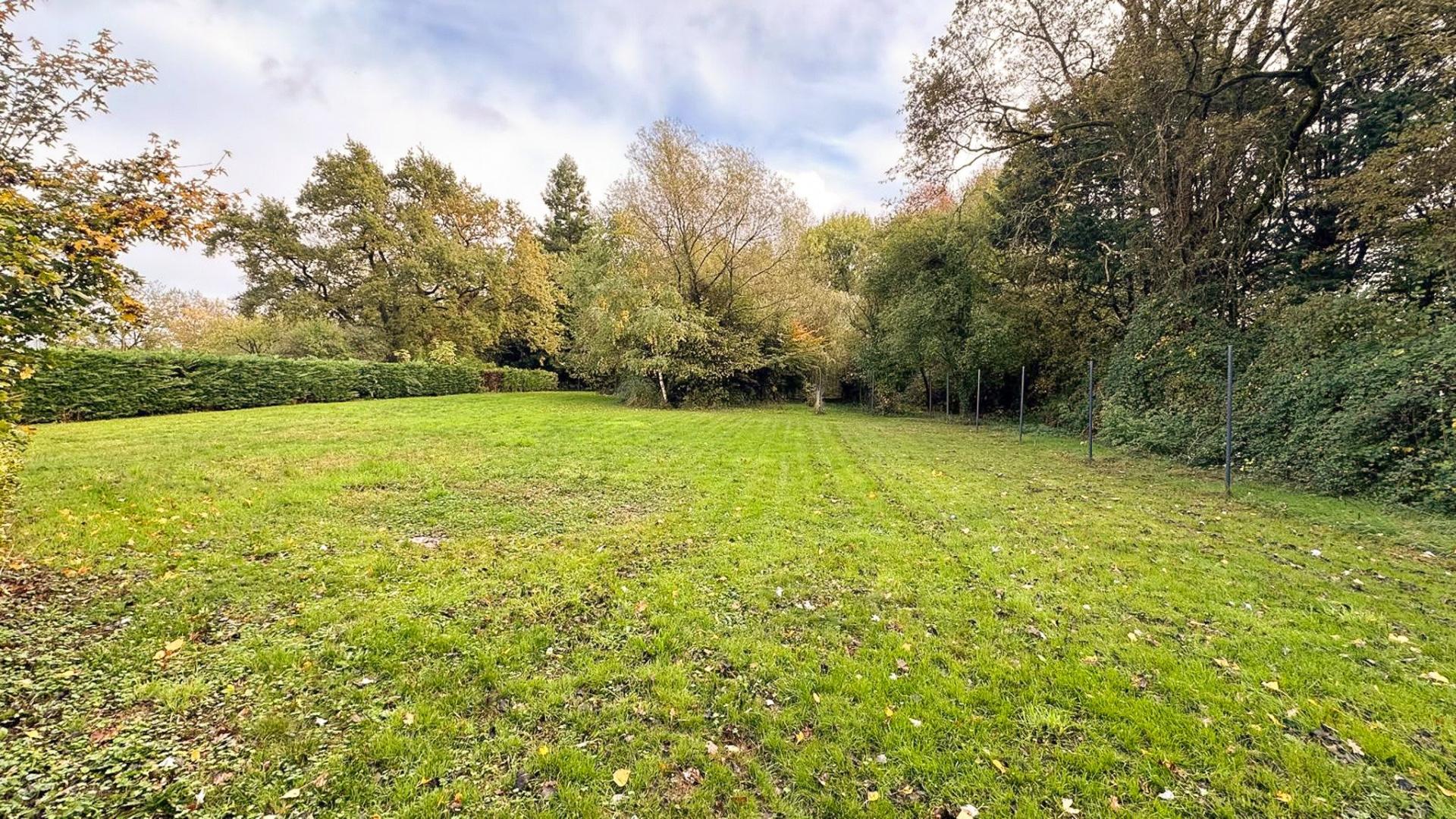 Miniature photo - 10 / 10