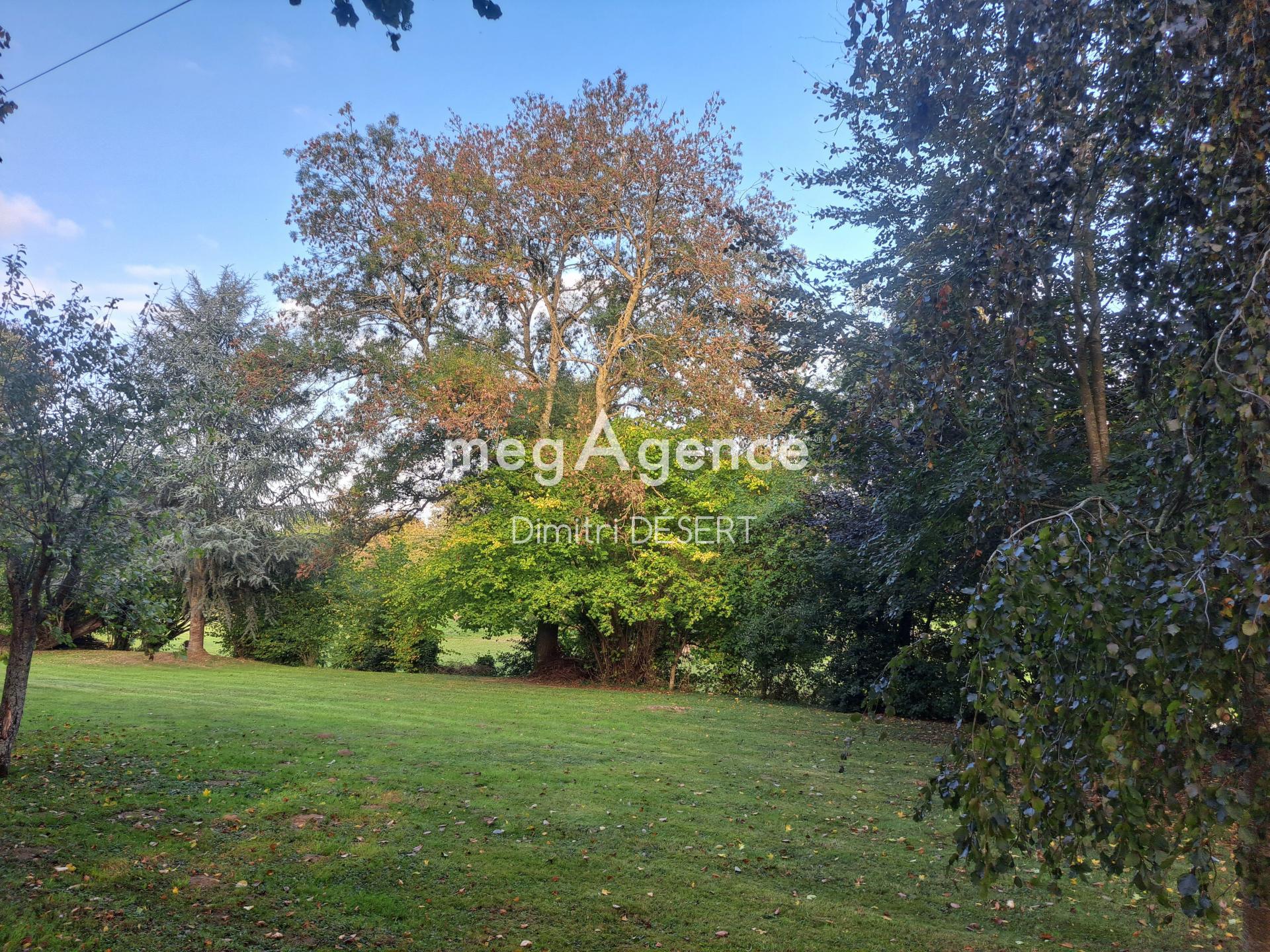 Miniature photo - 5 / 12