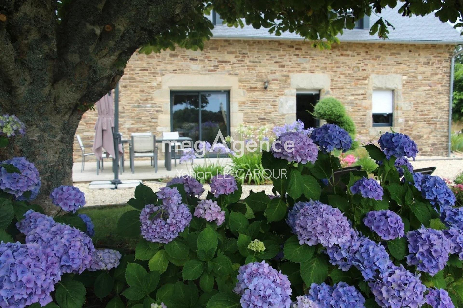 Miniature photo - 11 / 14