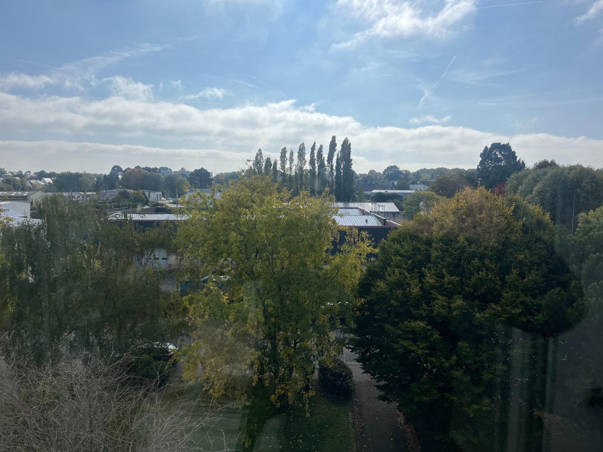 Miniature photo - 4 / 11