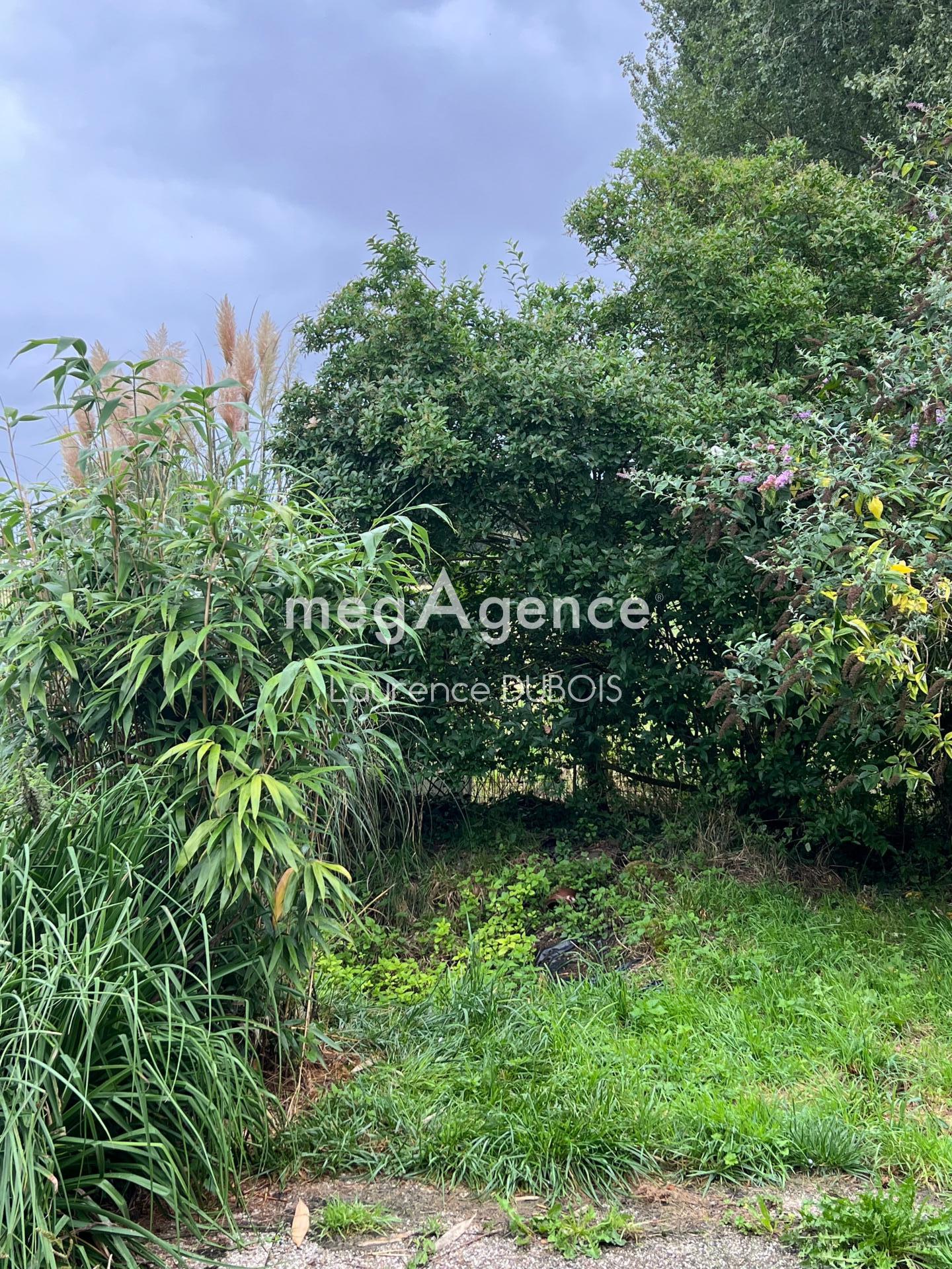 Miniature photo - 10 / 13