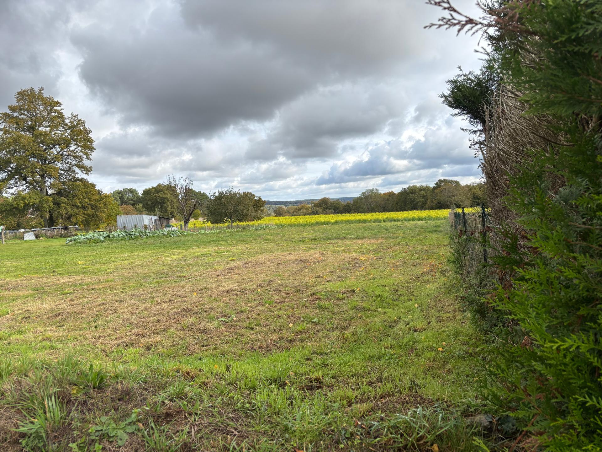 Miniature photo - 3 / 3