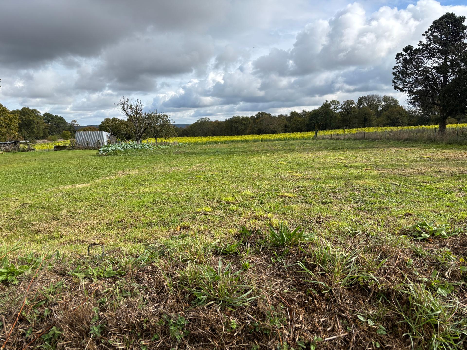 Miniature photo - 2 / 3