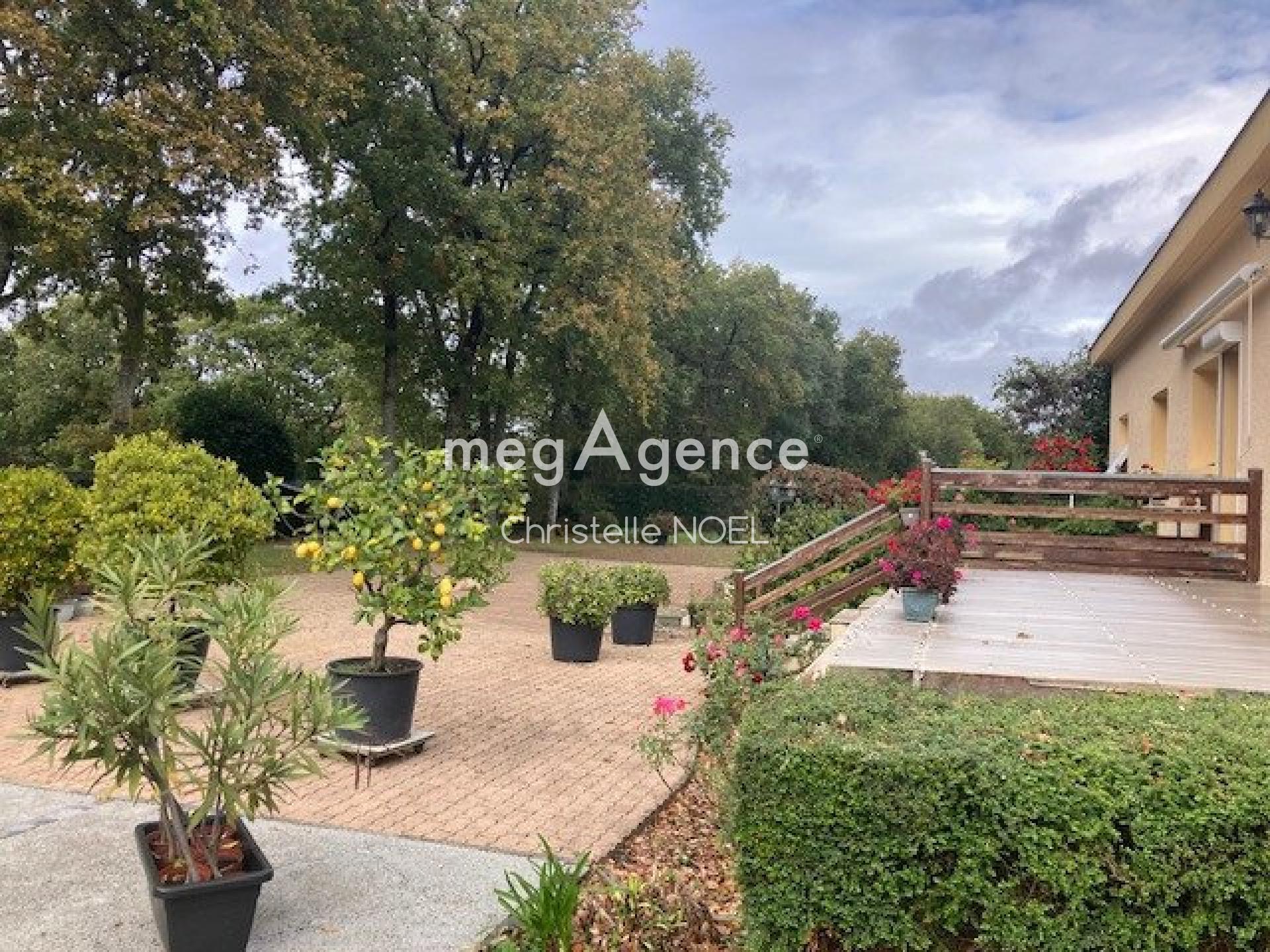 Miniature photo - 5 / 9