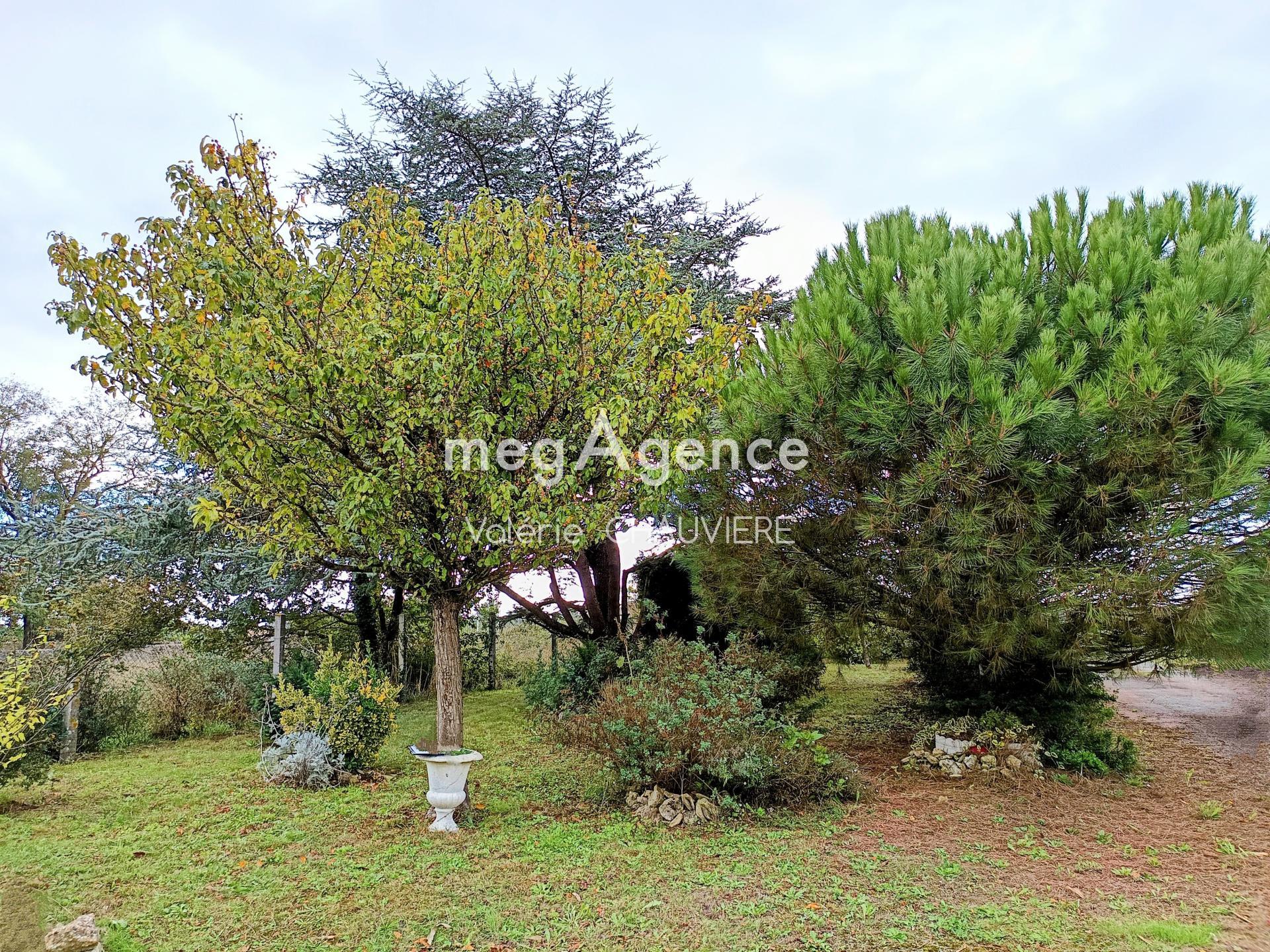 Miniature photo - 9 / 9