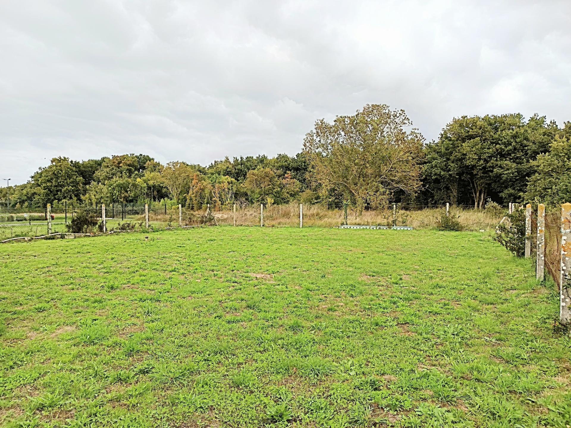 Miniature photo - 9 / 11