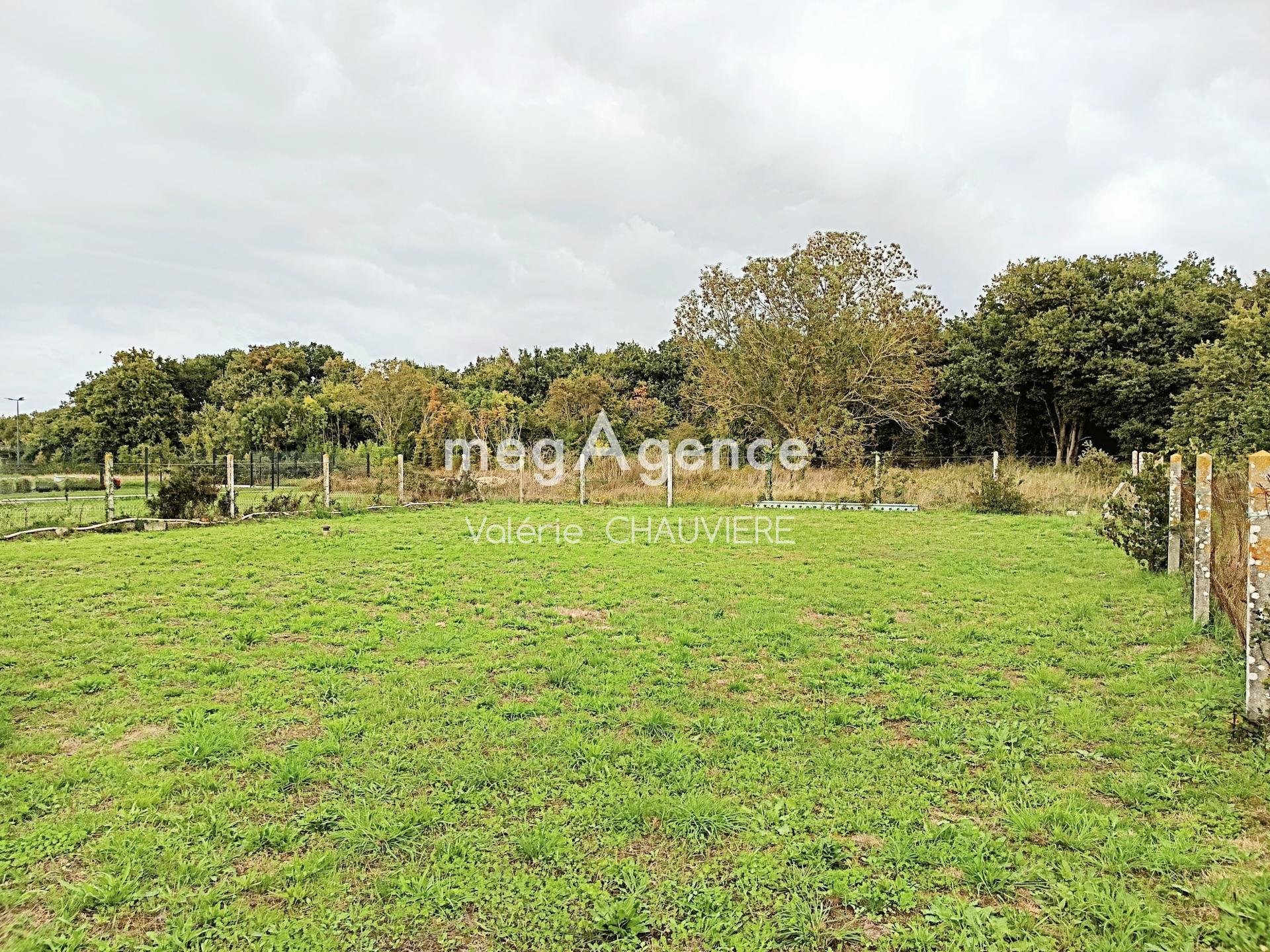 Miniature photo - 8 / 9