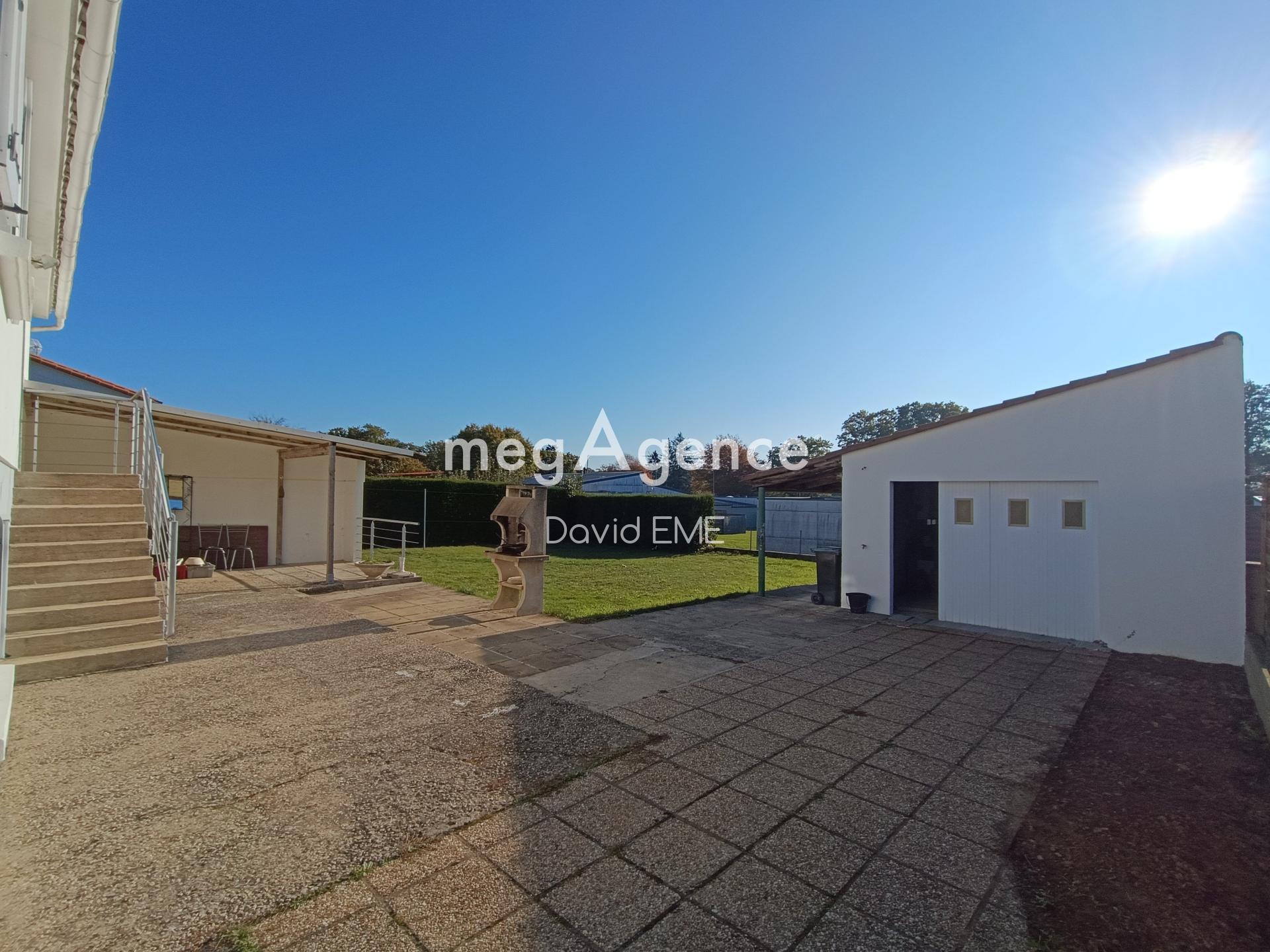 Miniature photo - 2 / 12