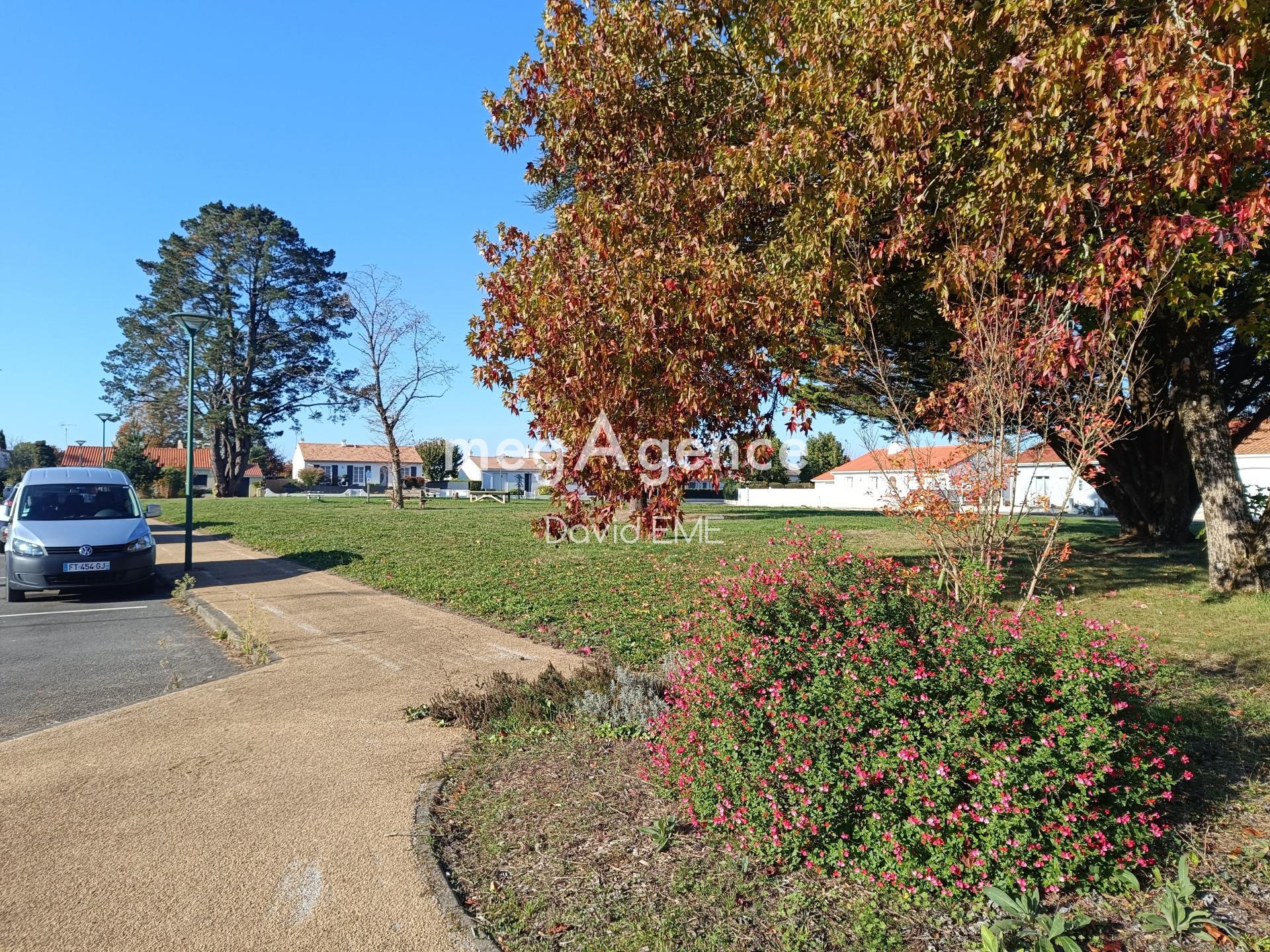 Miniature photo - 12 / 12