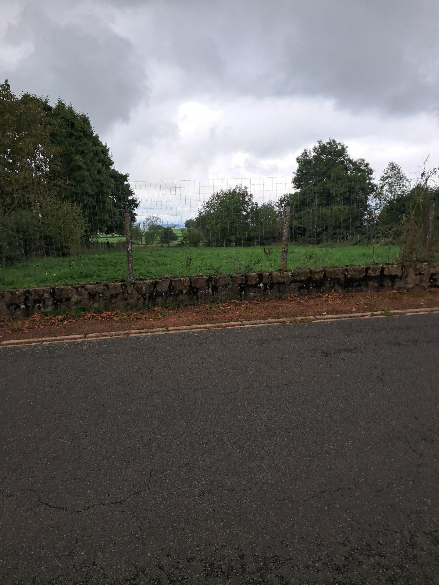 Miniature photo - 2 / 3