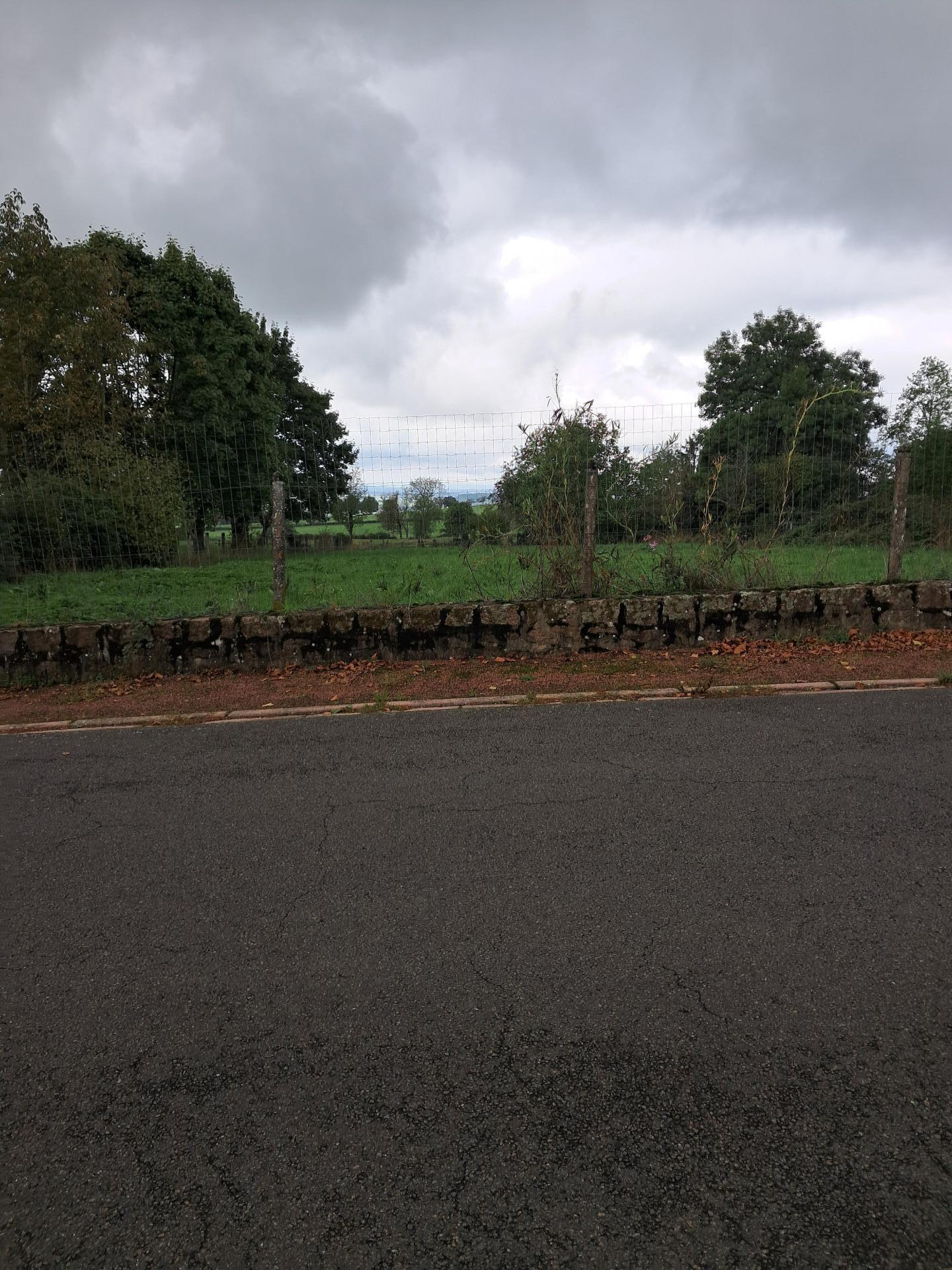 Miniature photo - 3 / 3