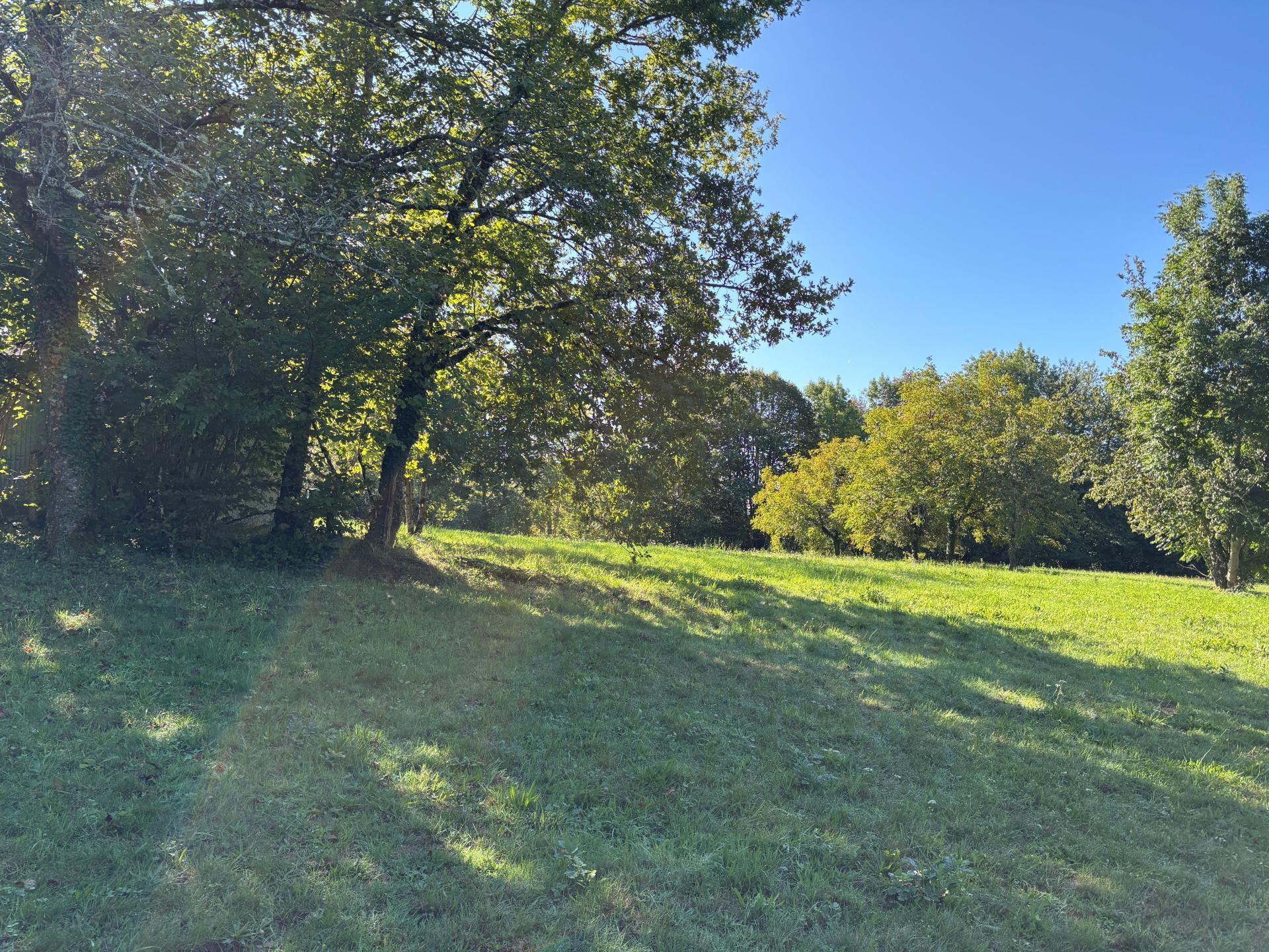 Miniature photo - 8 / 12