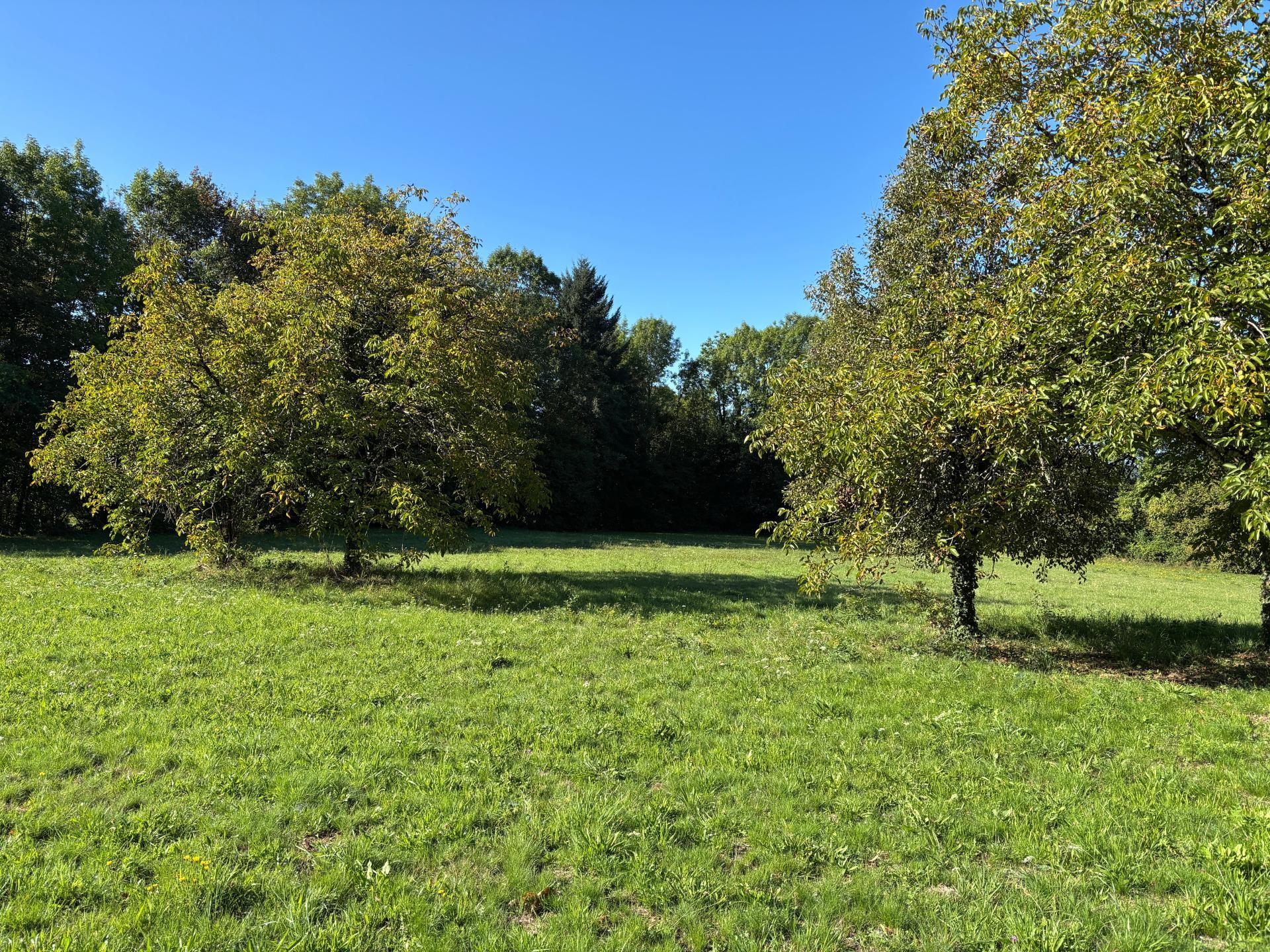 Miniature photo - 3 / 12