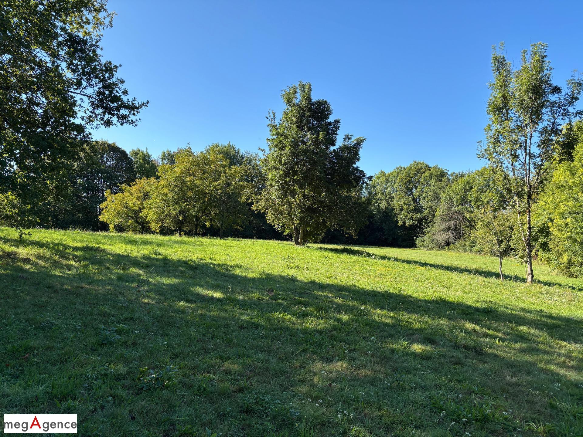 Miniature photo - 7 / 12