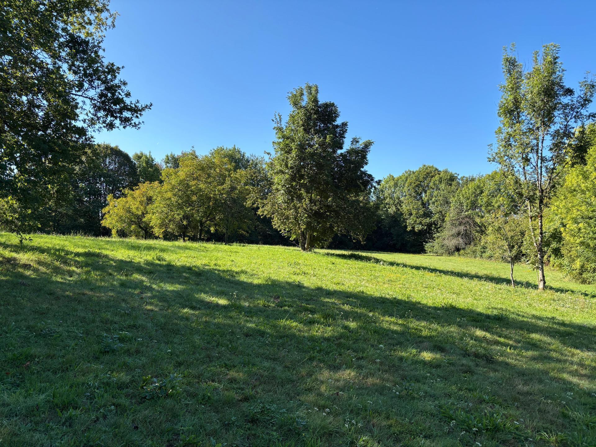 Miniature photo - 7 / 12