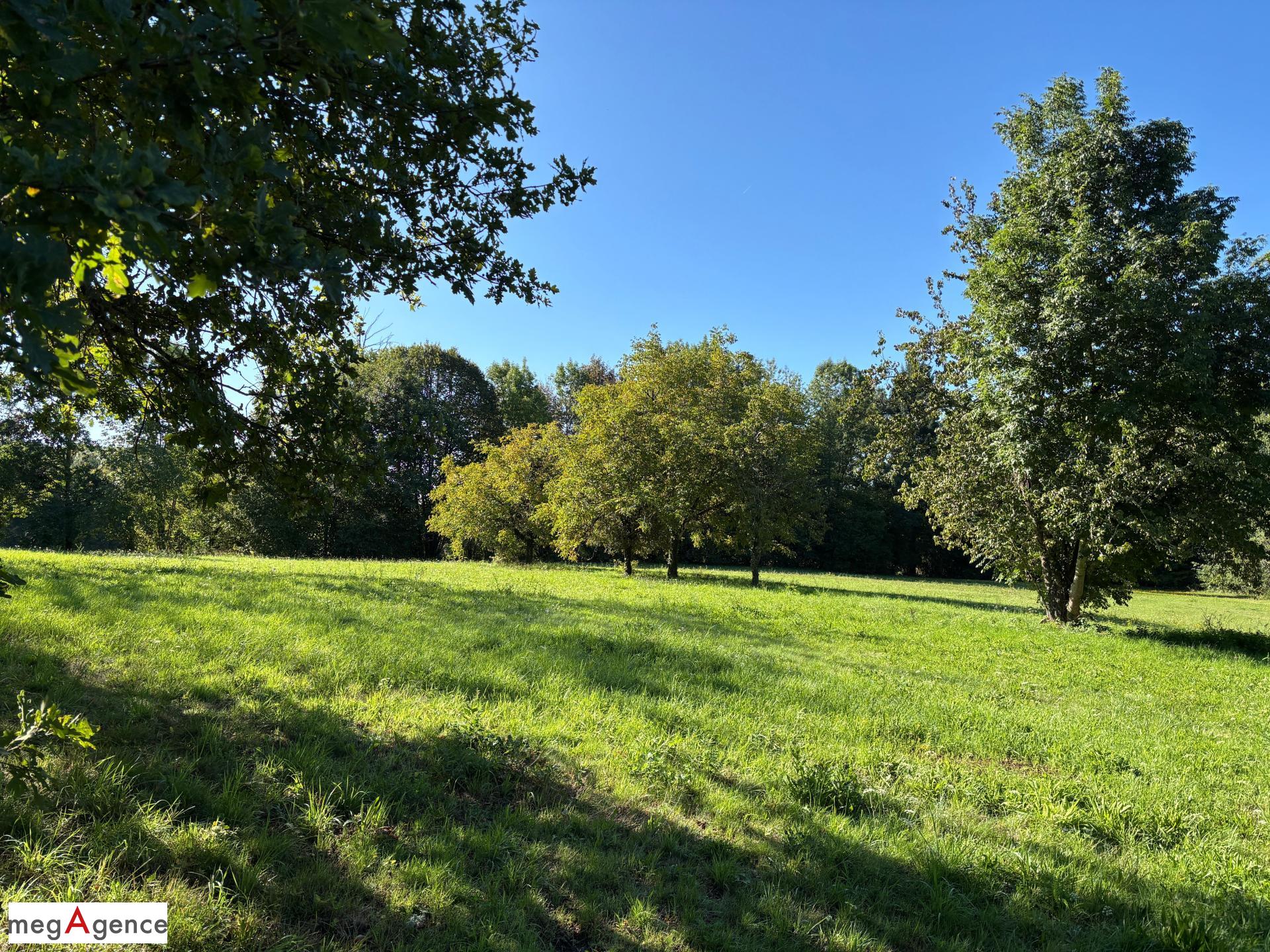 Miniature photo - 12 / 12