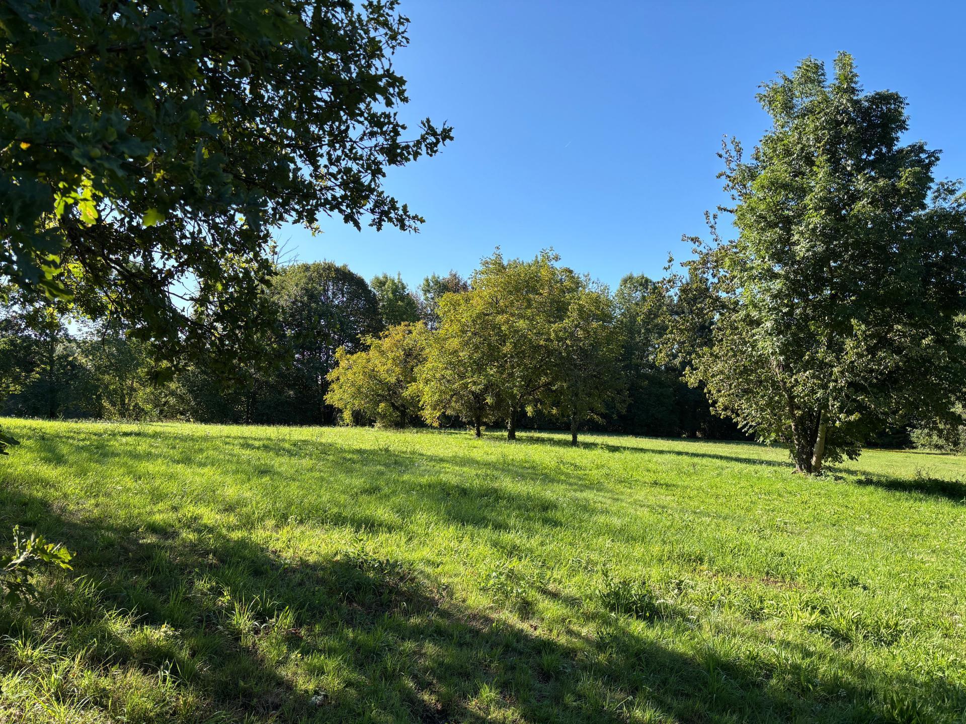 Miniature photo - 12 / 12