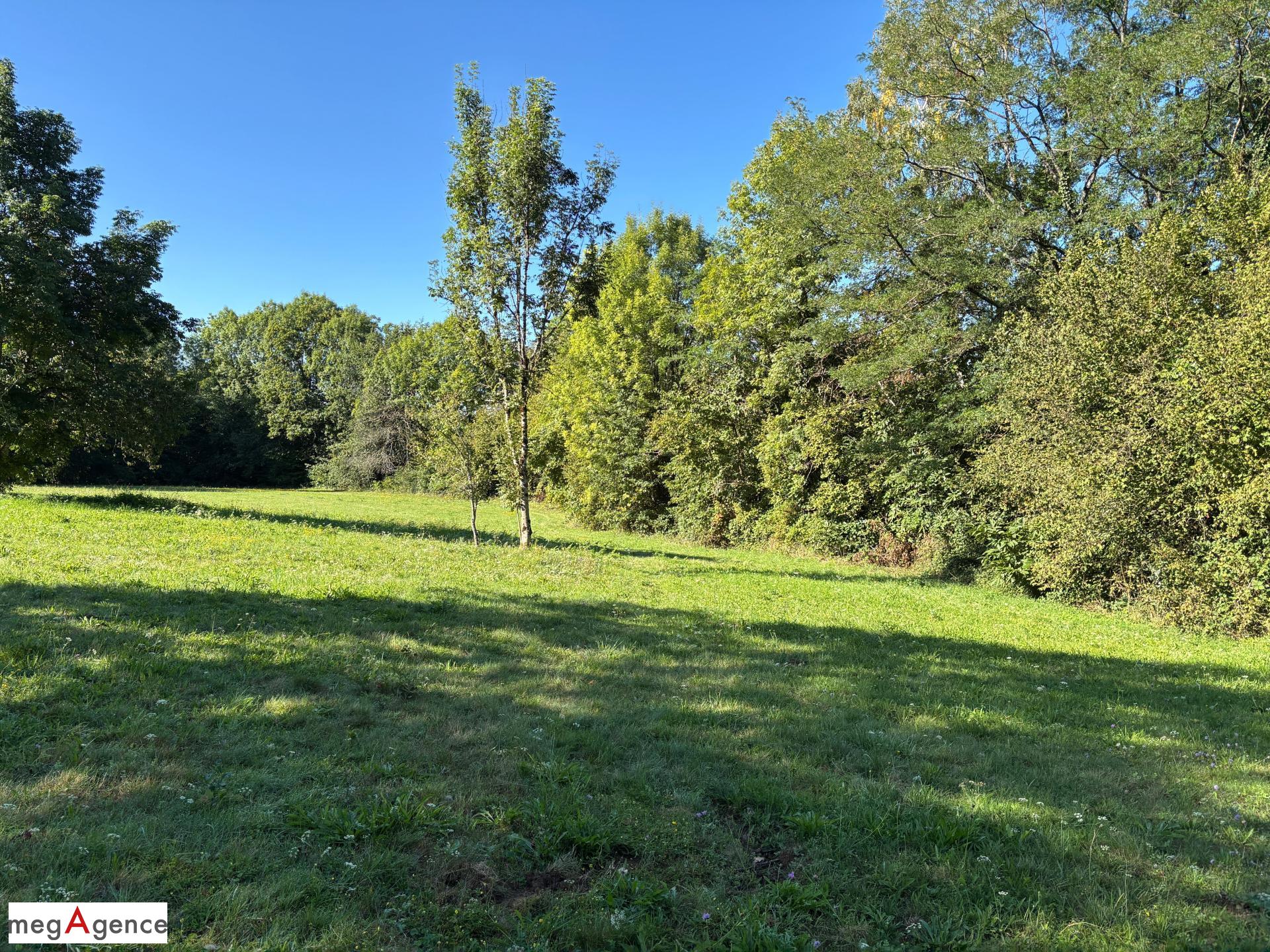 Miniature photo - 9 / 12