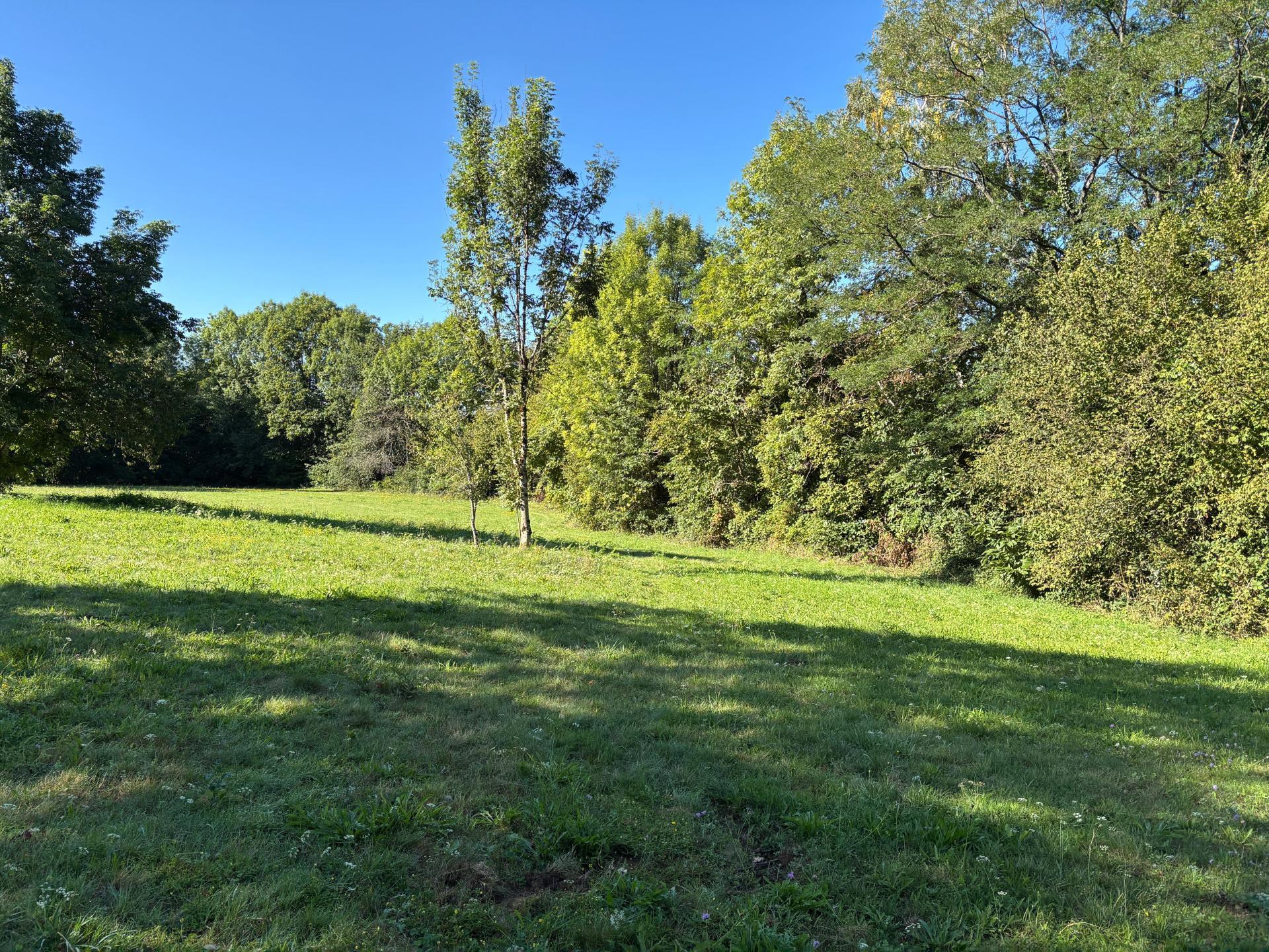 Miniature photo - 9 / 12