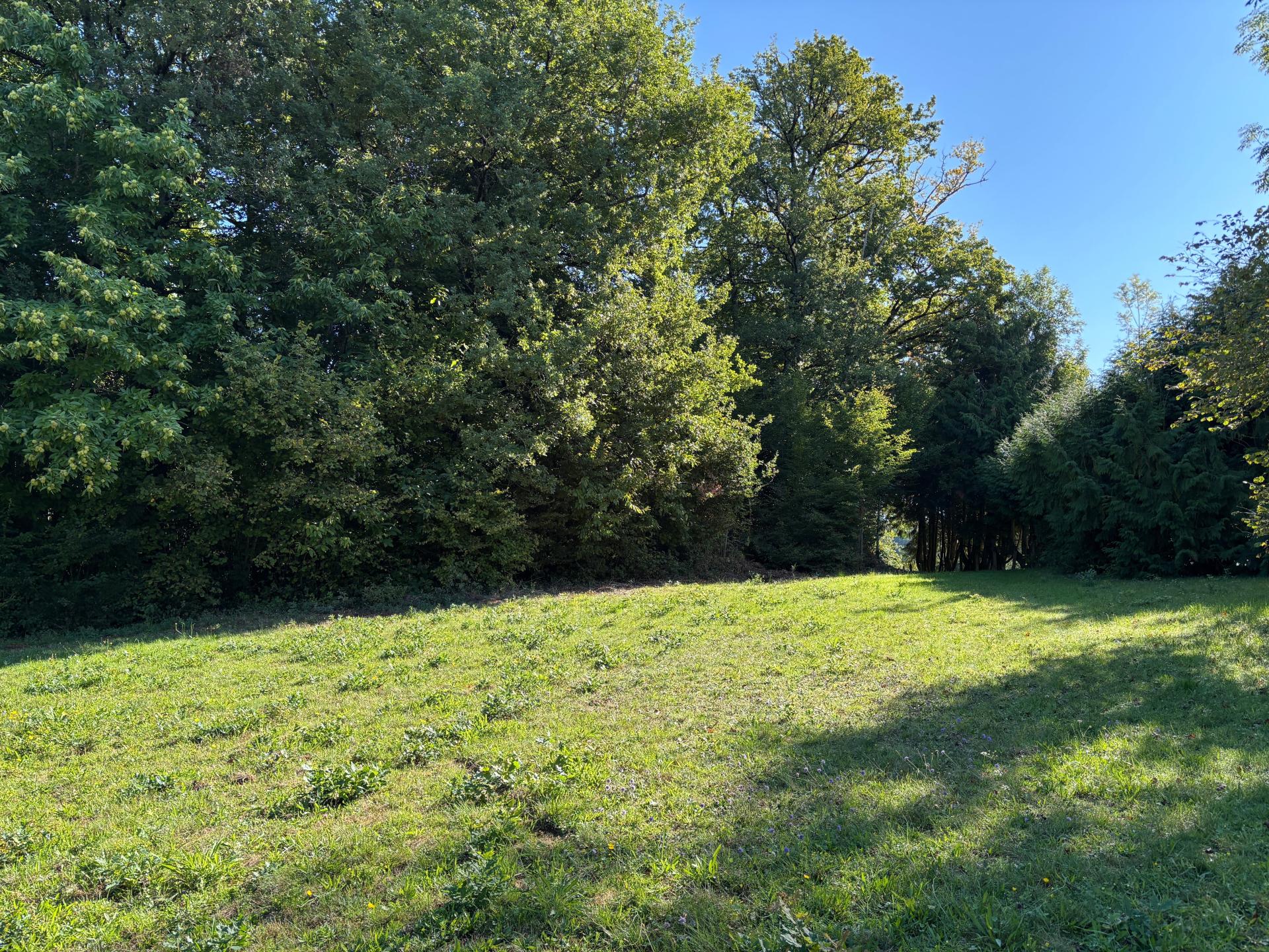 Miniature photo - 6 / 12