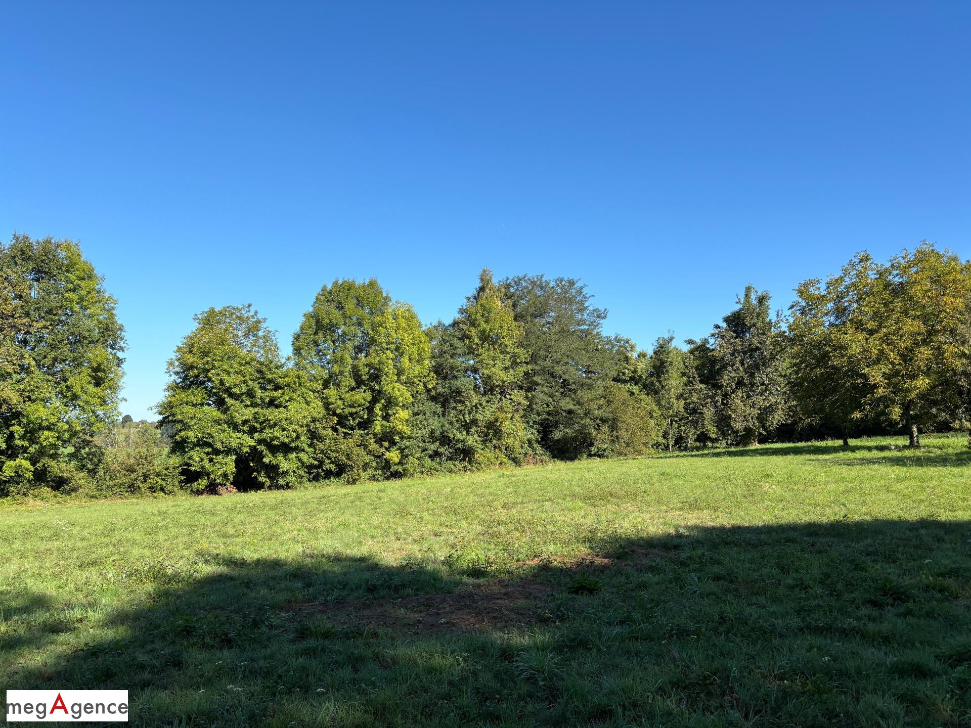 Miniature photo - 2 / 12