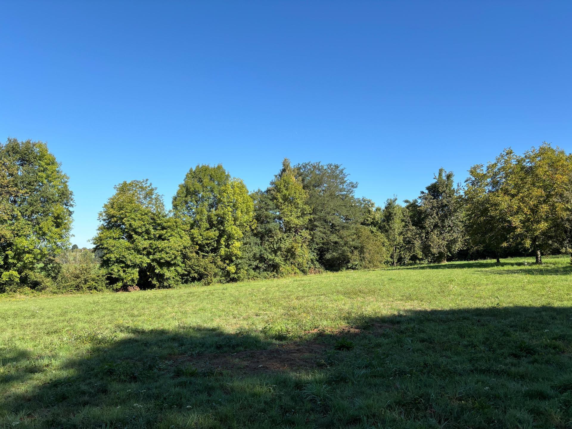 Miniature photo - 2 / 12