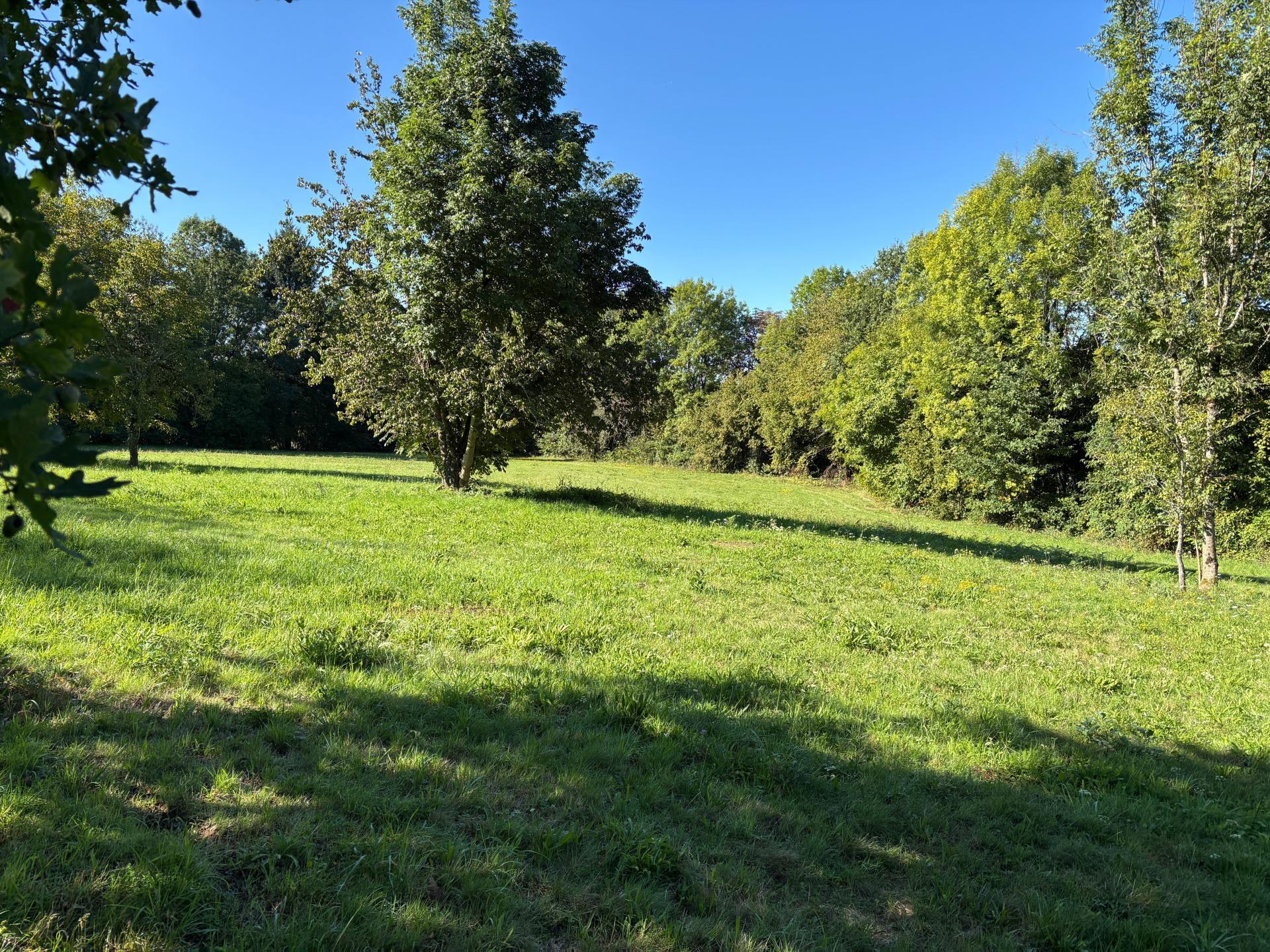 Miniature photo - 11 / 12