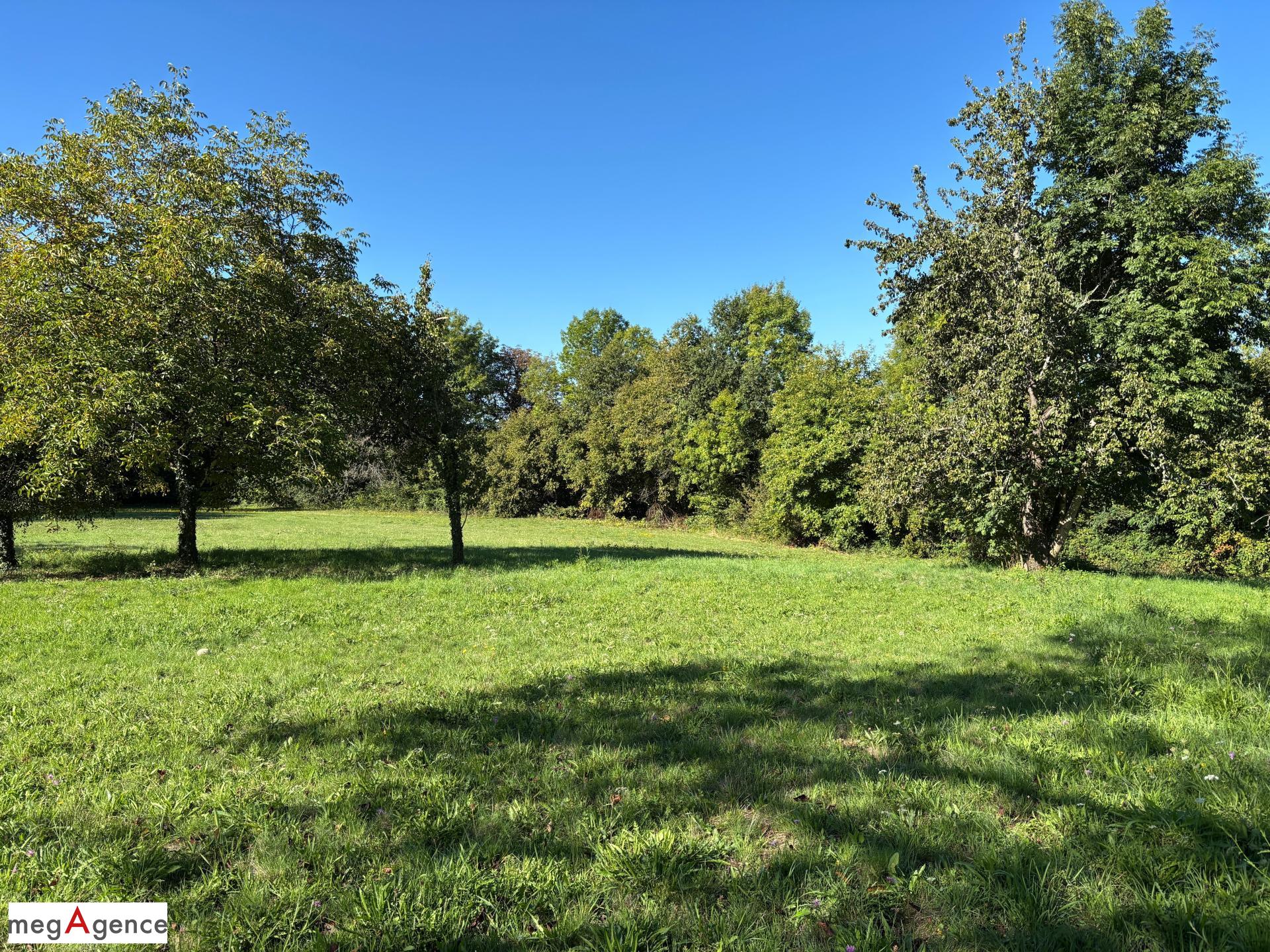 Miniature photo - 4 / 12