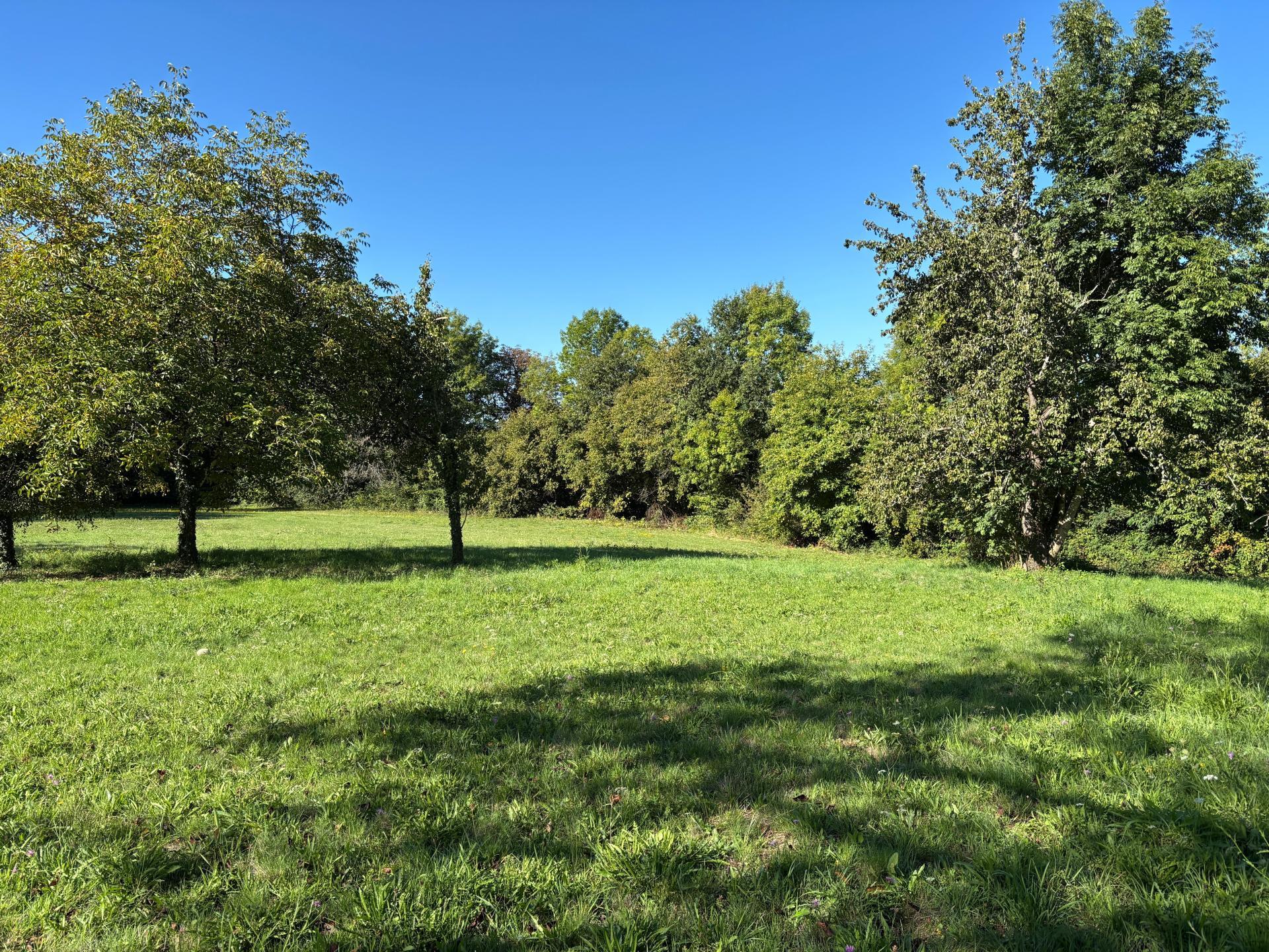 Miniature photo - 4 / 12