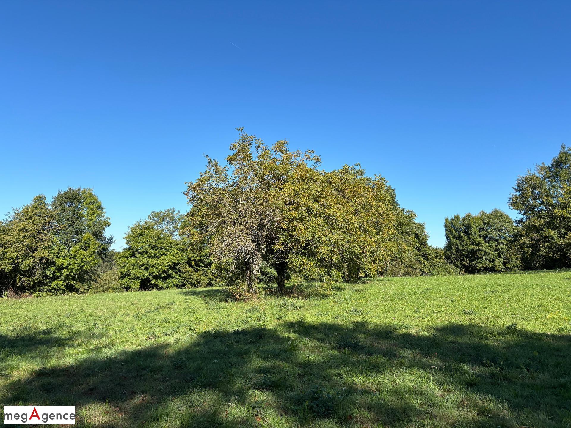 Miniature photo - 10 / 12