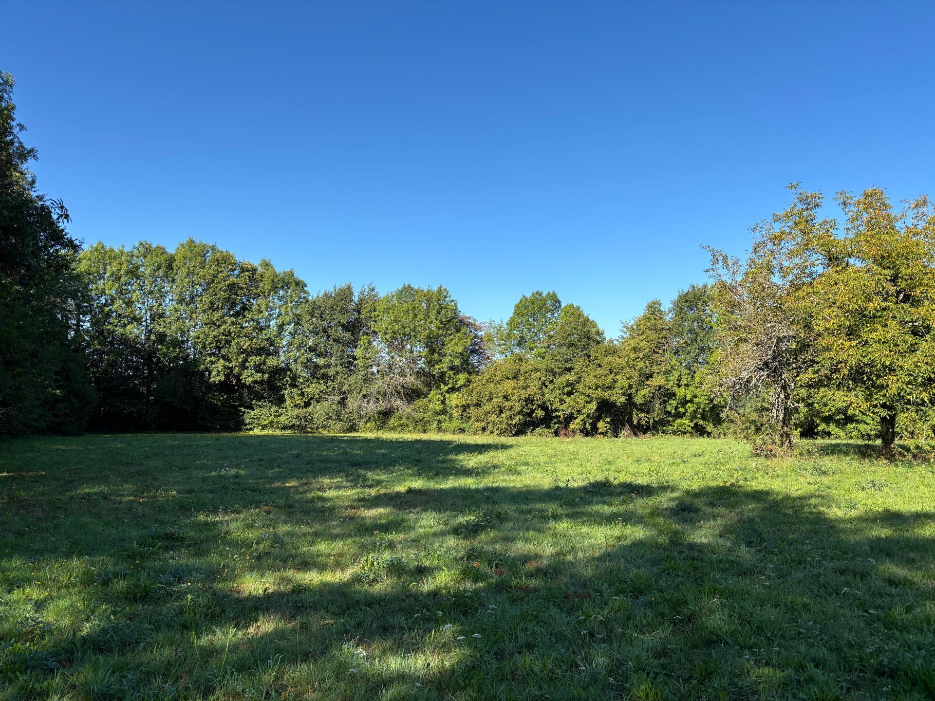 Photographie descriptive du bien