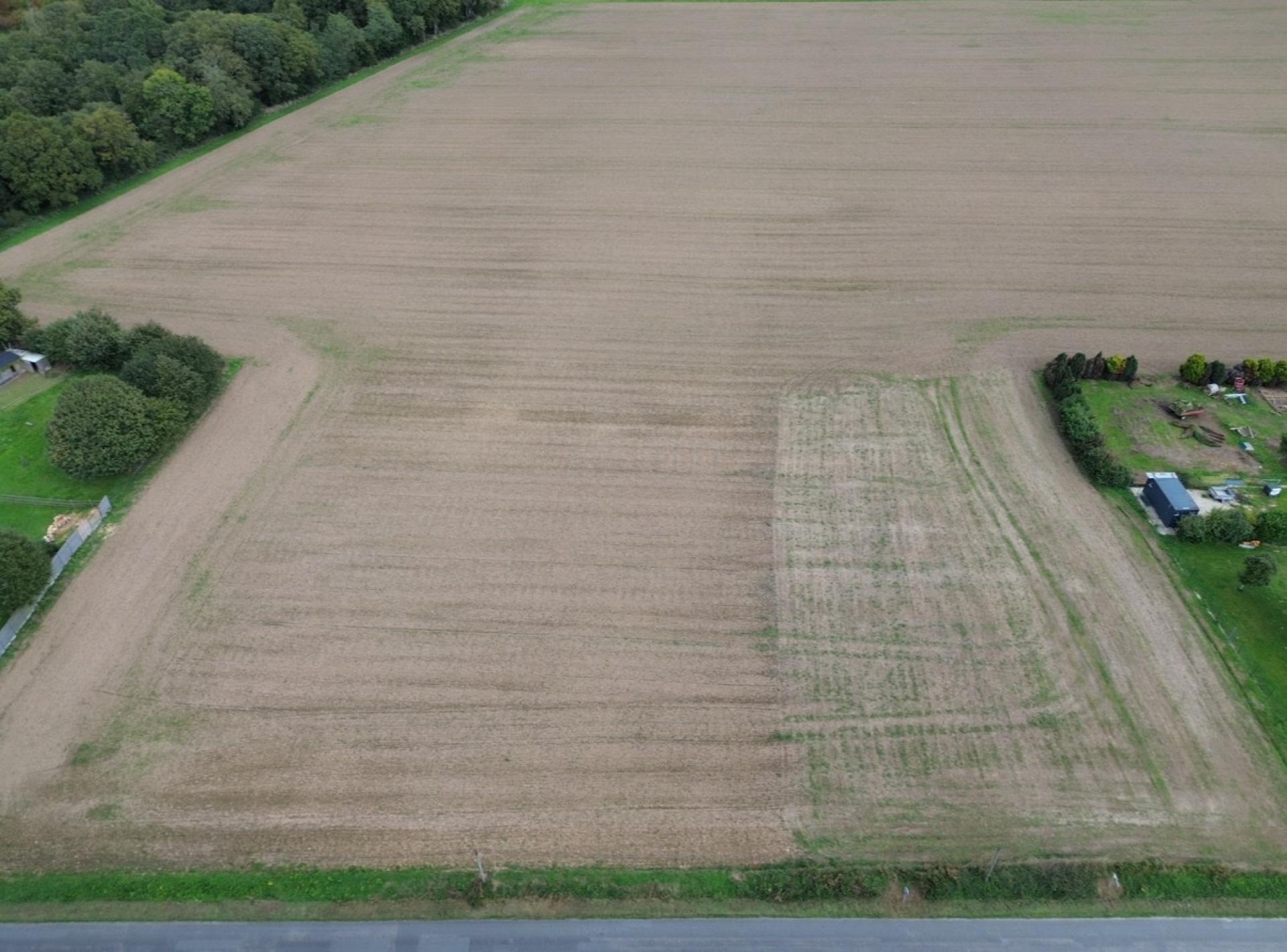 Miniature photo - 3 / 9