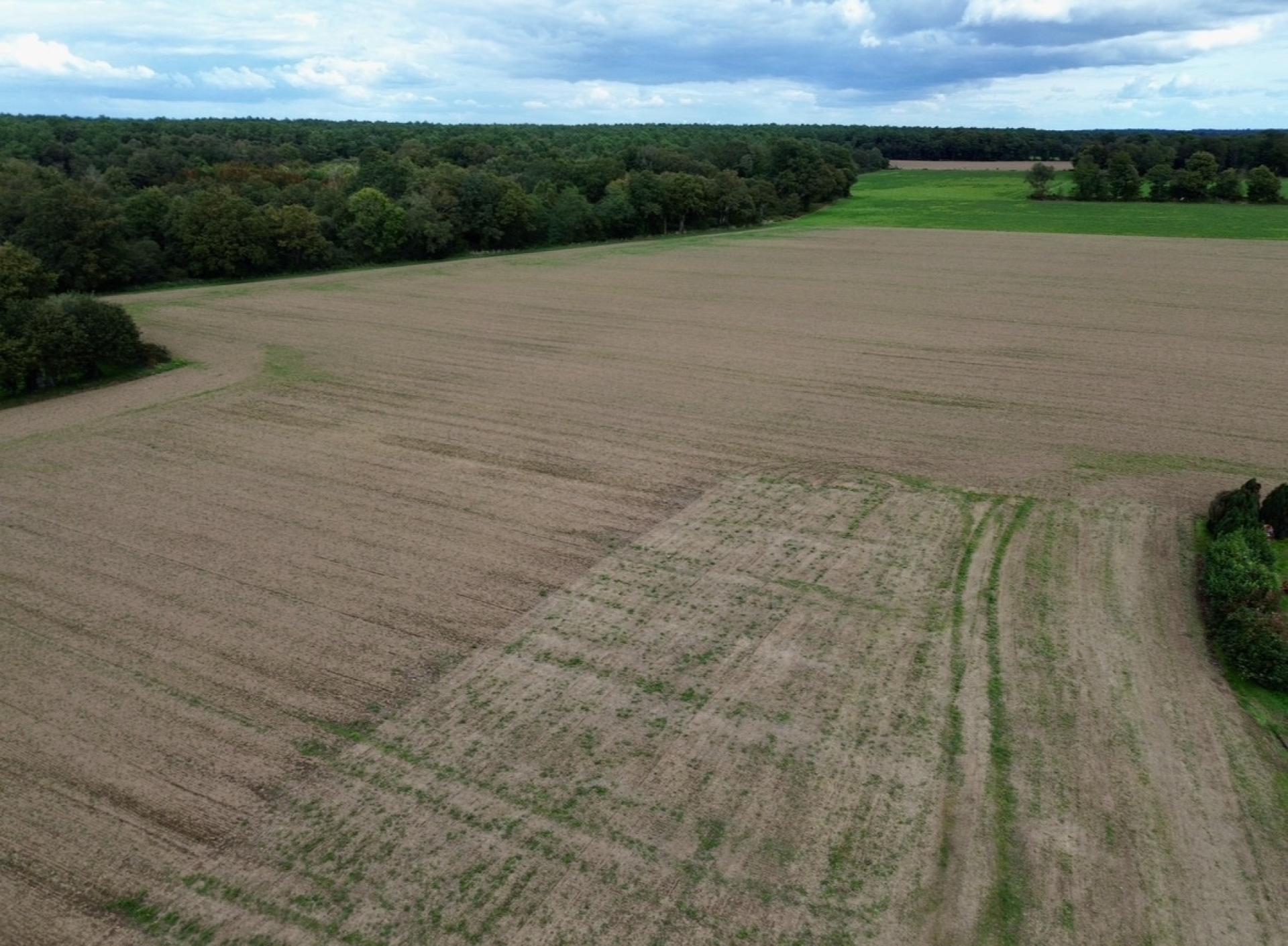 Miniature photo - 7 / 9