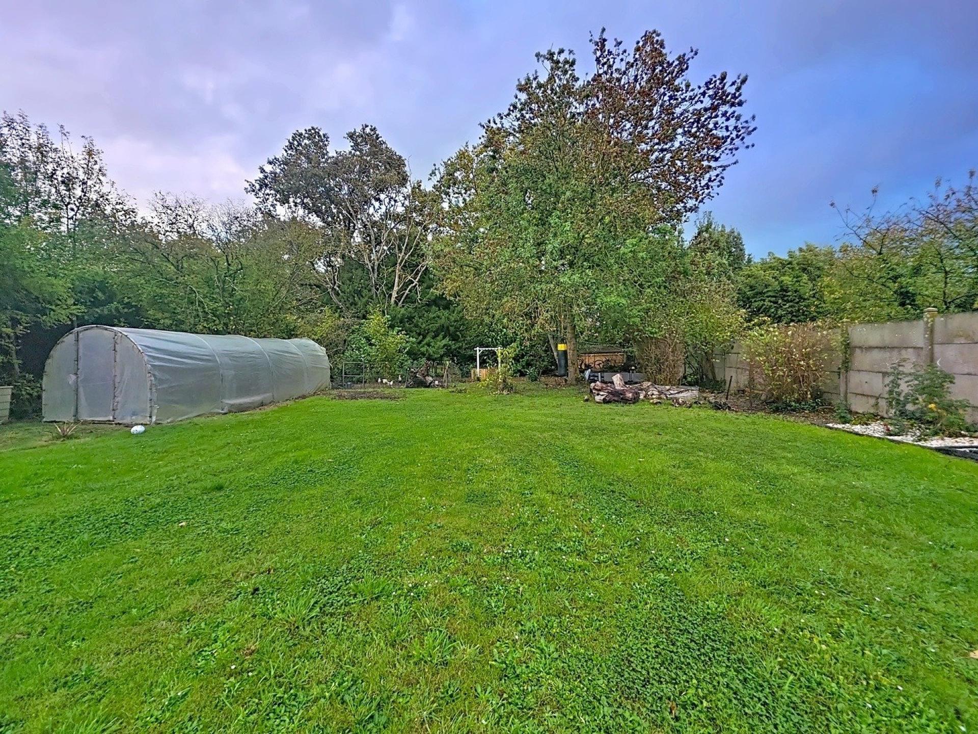 Miniature photo - 9 / 11