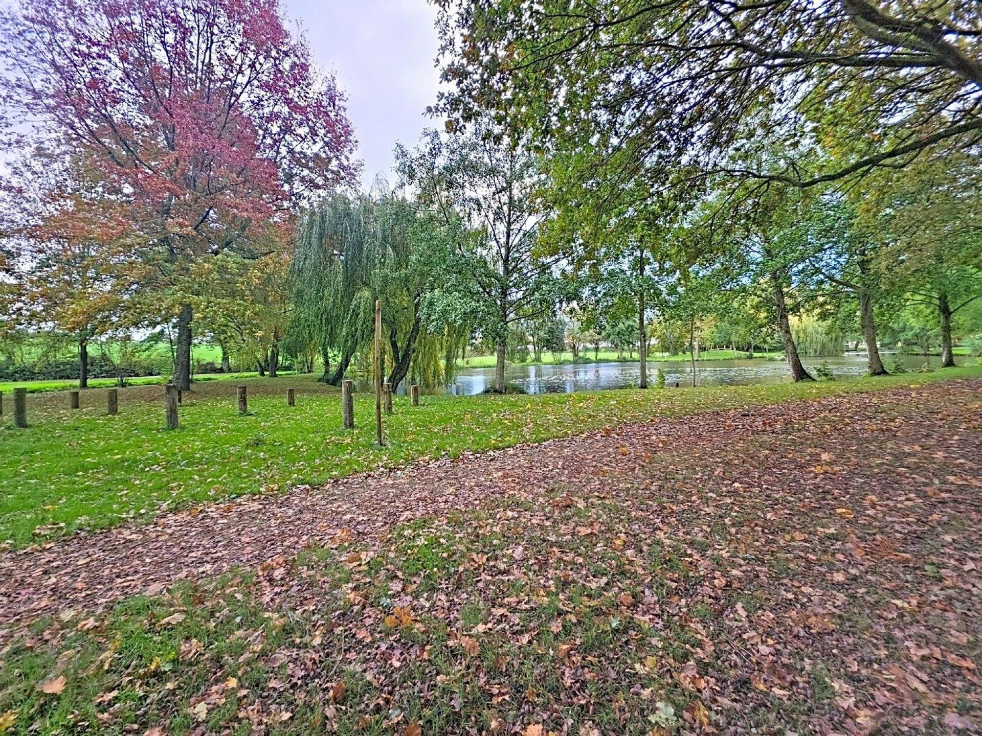 Miniature photo - 10 / 11